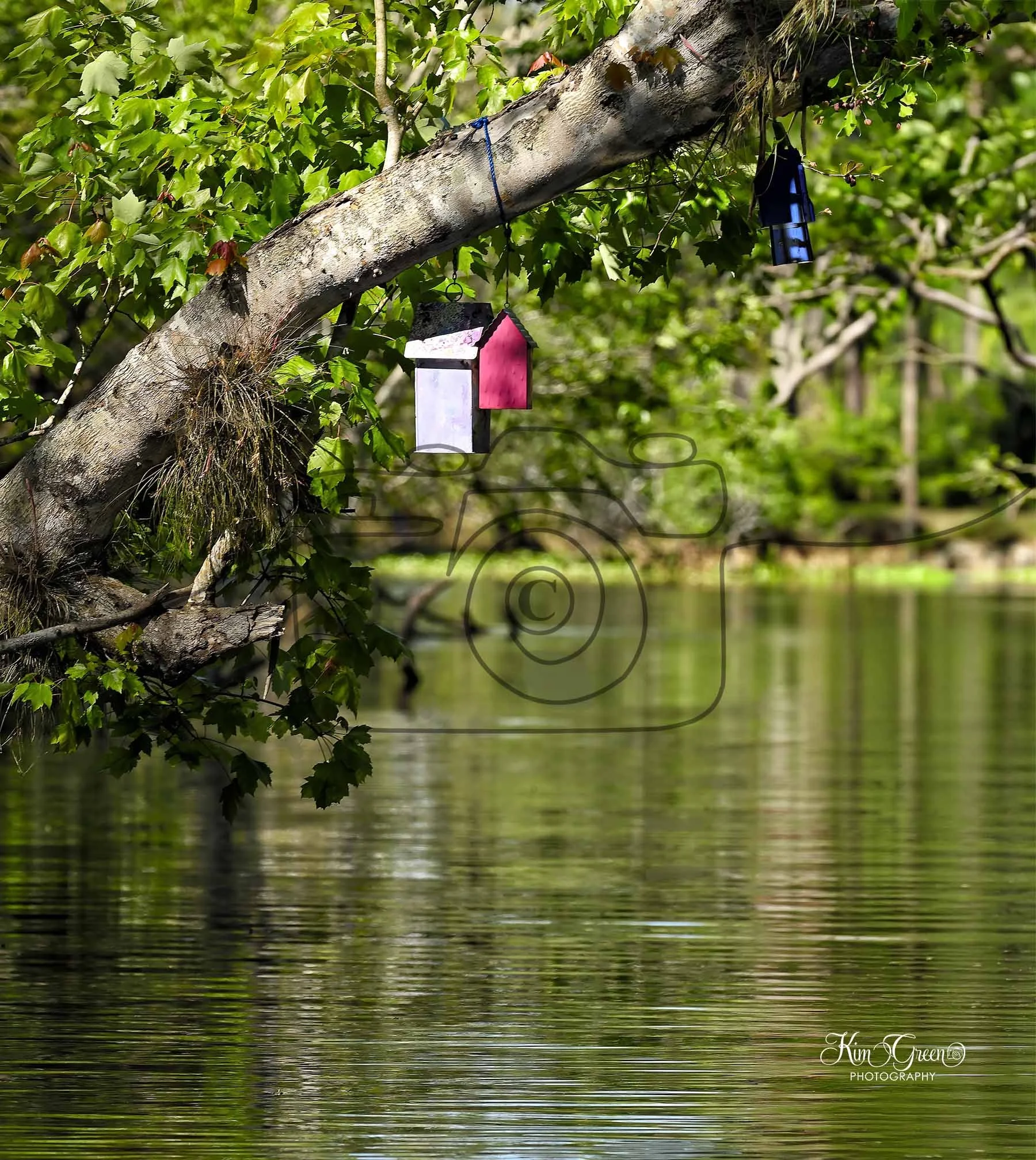 River ©Kim Green Photography