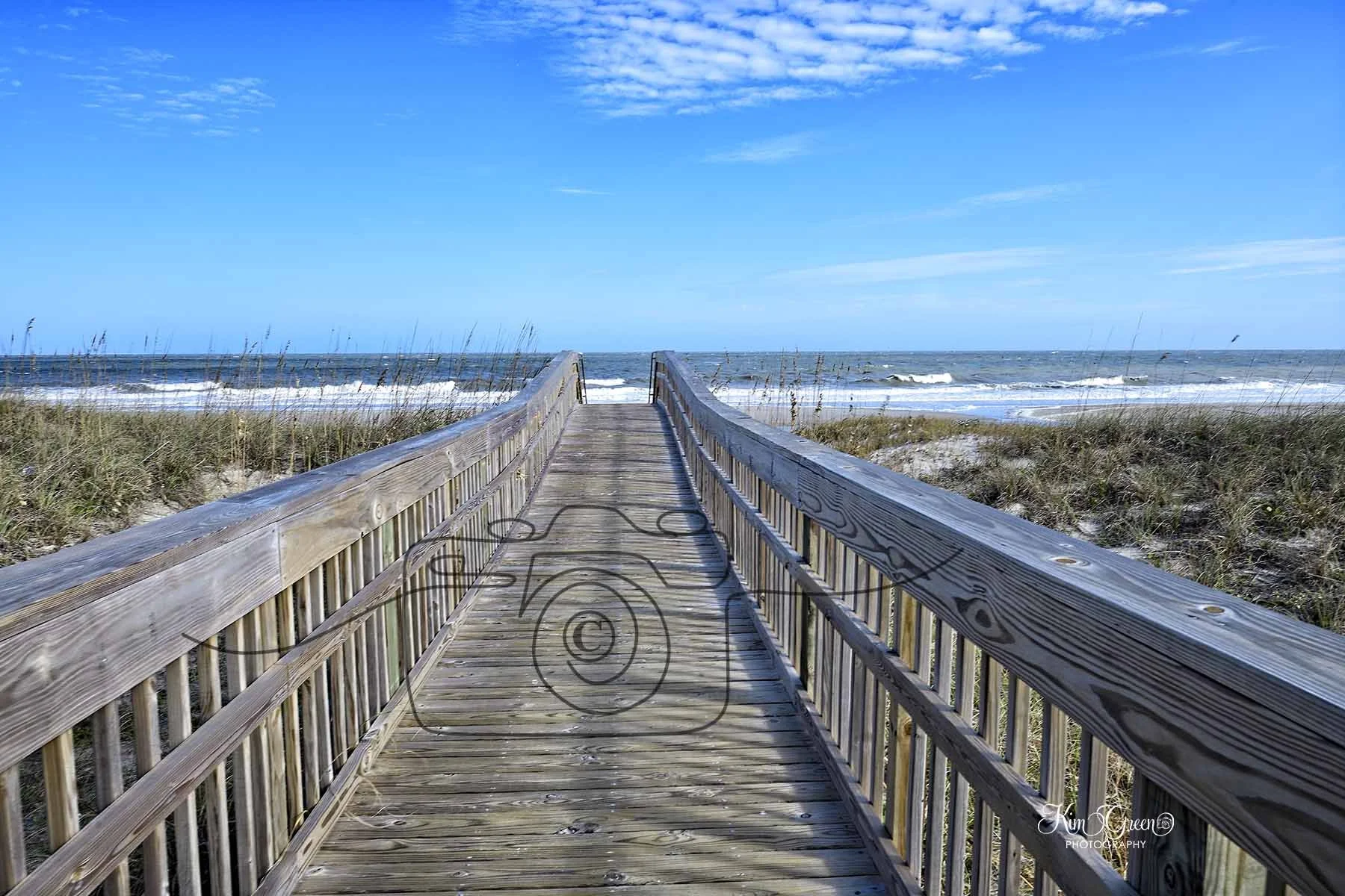 Amelia Island ©Kim Green Photography