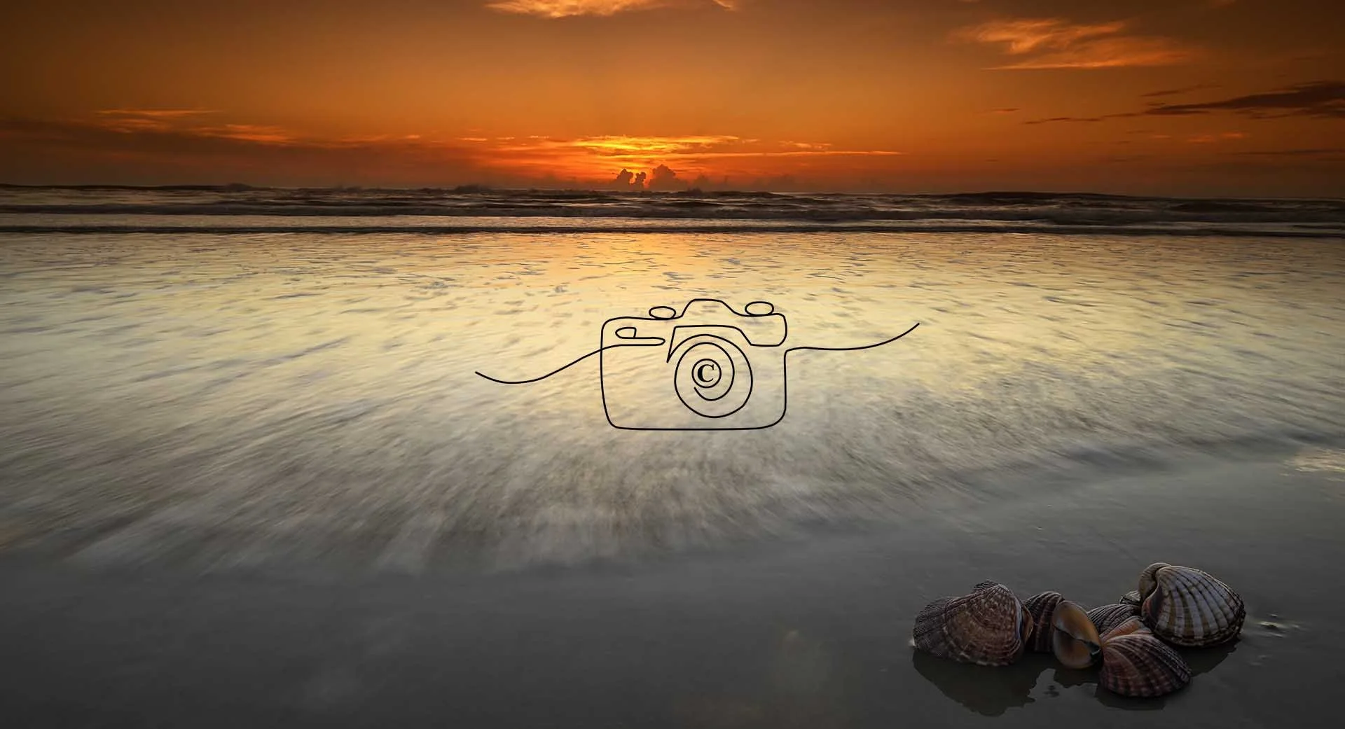 Beach ©️ Kim Green Photography 