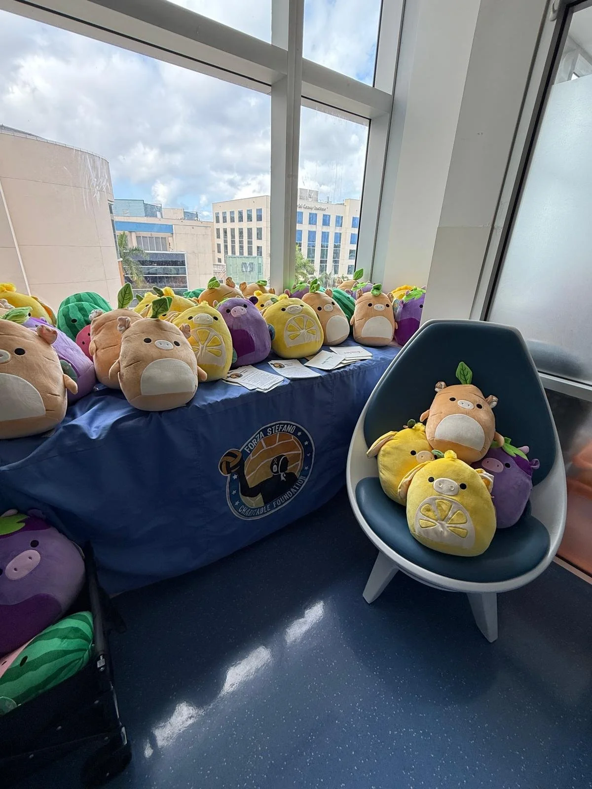 WhatsApp Image 2026-03-16 at 17.25.48.jpeg