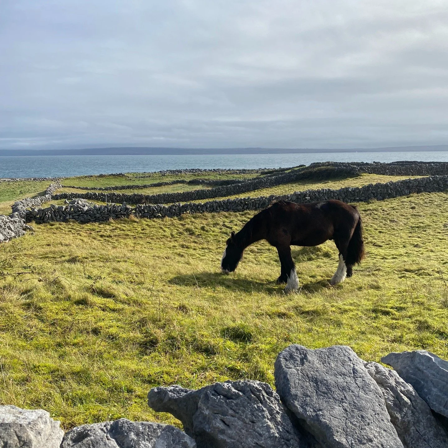 🌊🇮🇪 ARAN ISLANDS EXPERIENCE 🇮🇪🌊
There&rsquo;s Ireland&hellip; and then there&rsquo;s the Aran Islands.
Raw, untouched, and deeply rooted in tradition&mdash;this Yutu-curated excursion to Inisheer was the kind of day that stays with you long aft