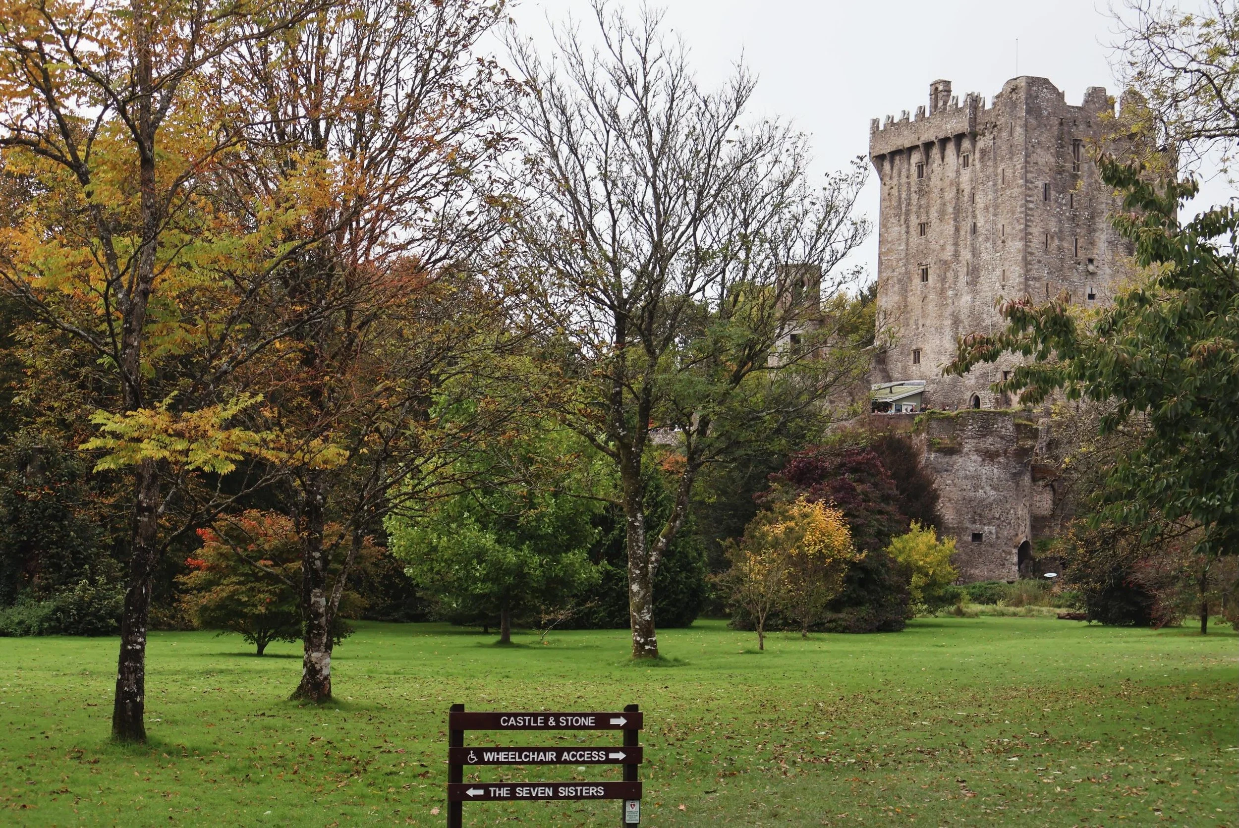 🏰 BLARNEY CASTLE, IRELAND 🏰

There&rsquo;s something undeniably magical about a stay in Cork. From charming boutique hotels tucked into the city&rsquo;s winding streets to the lush countryside surrounding Blarney Castle ✨🇮🇪

Our travelers spent t