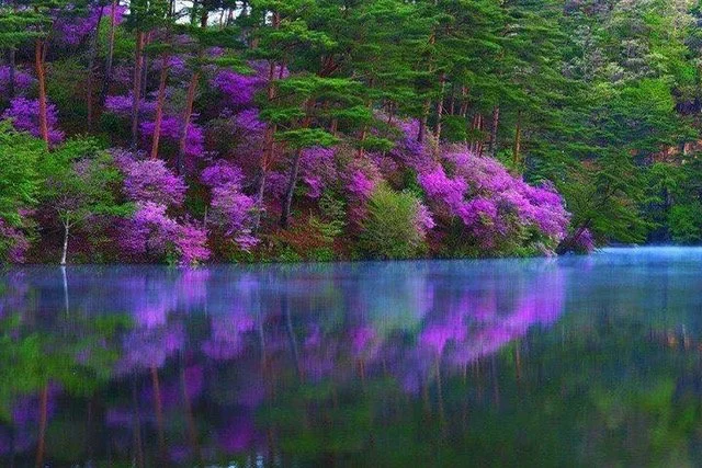 How to manage Holiday stress.