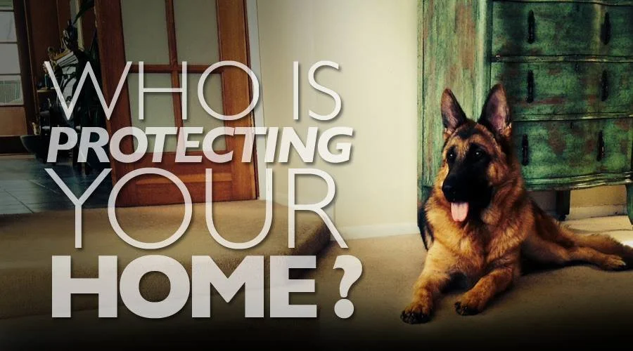 Personal protection training