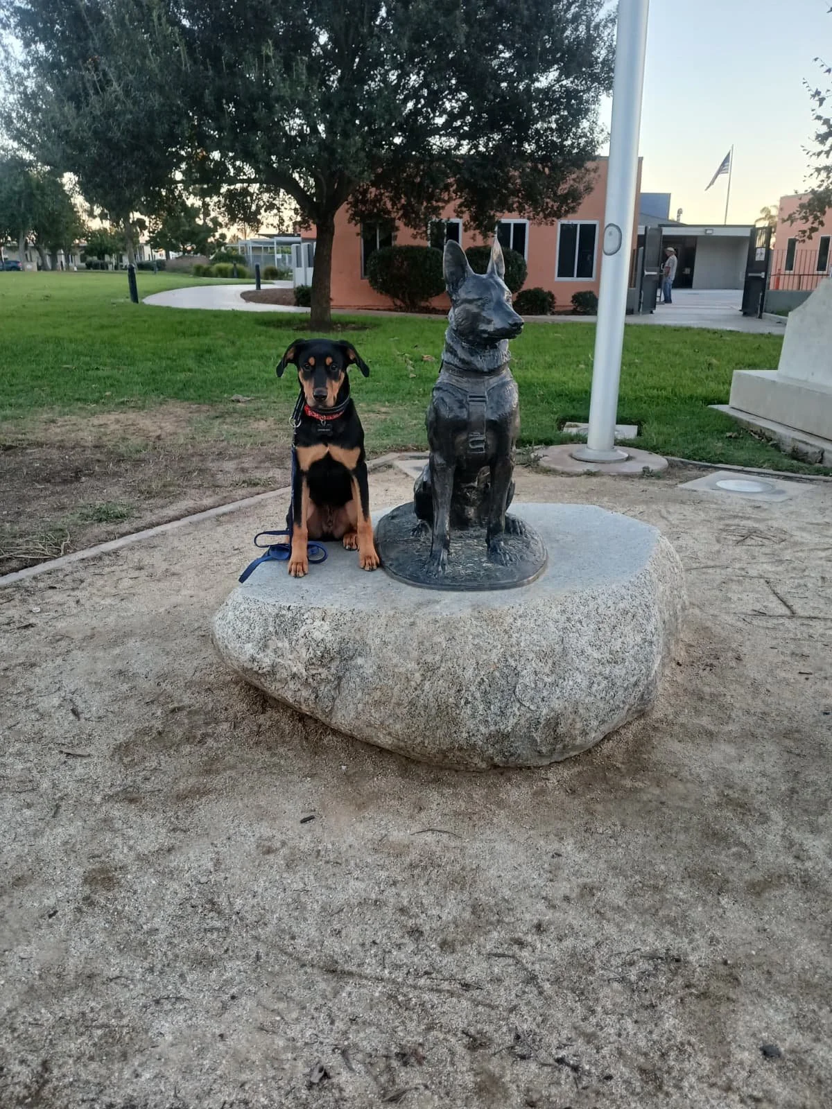 WhatsApp Image 2025-10-17 at 13.43.53_d52d6b8f.jpg