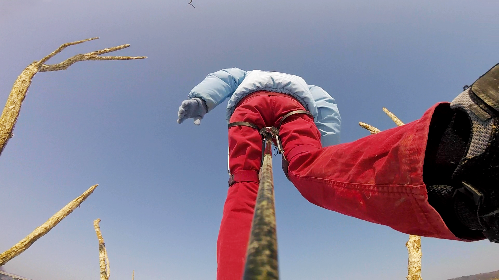 Jisu Kim: For a Birdge