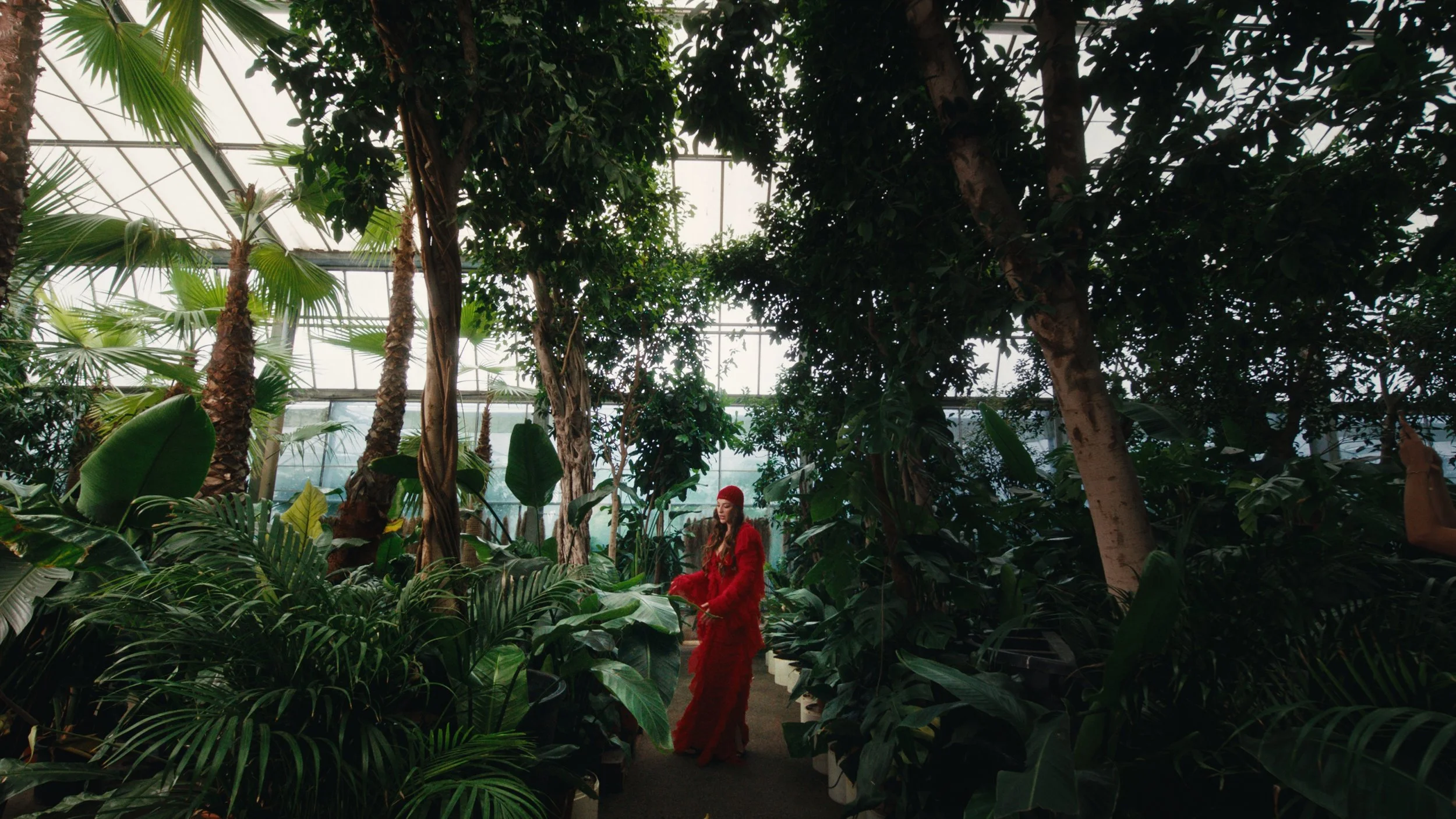 Still 2025-09-11 183048_1.74.1.jpg