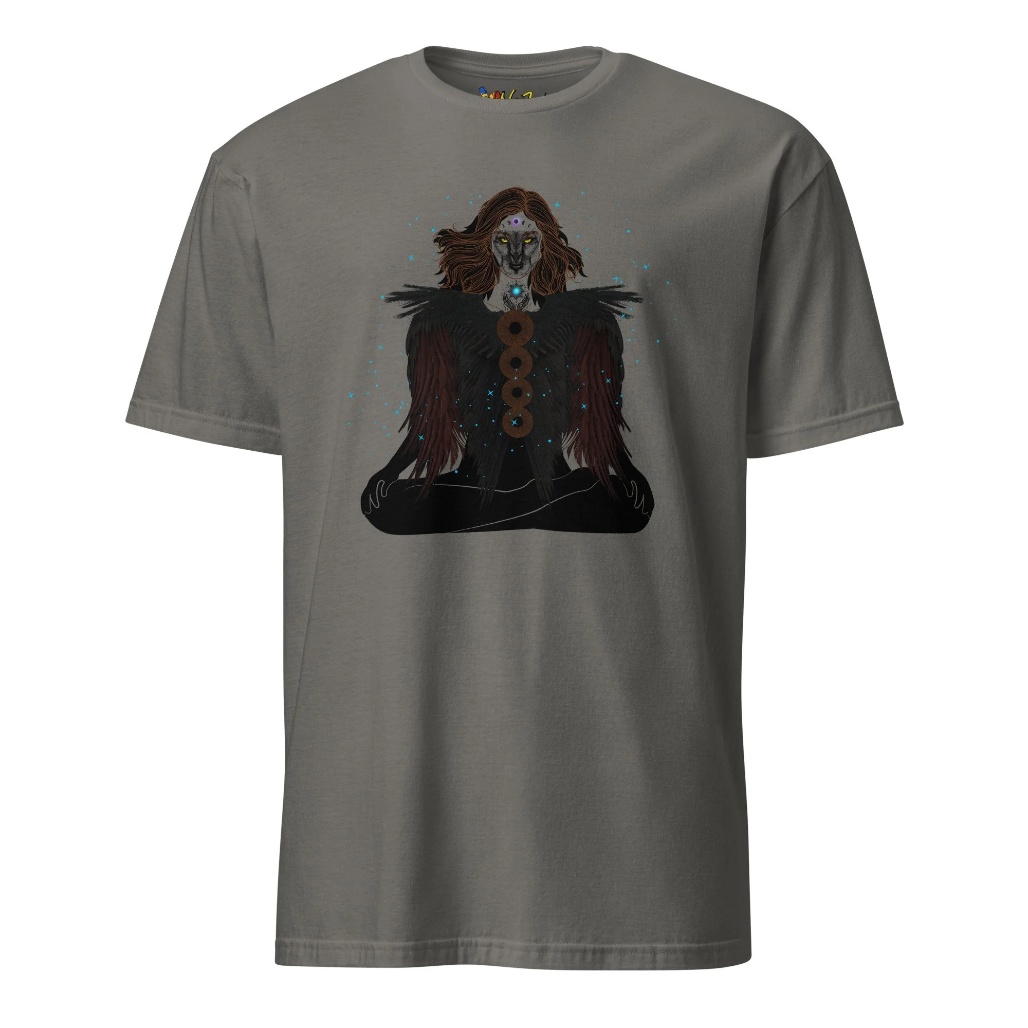 unisex-basic-softstyle-t-shirt-charcoal-front-68fe3b45e5417.jpg