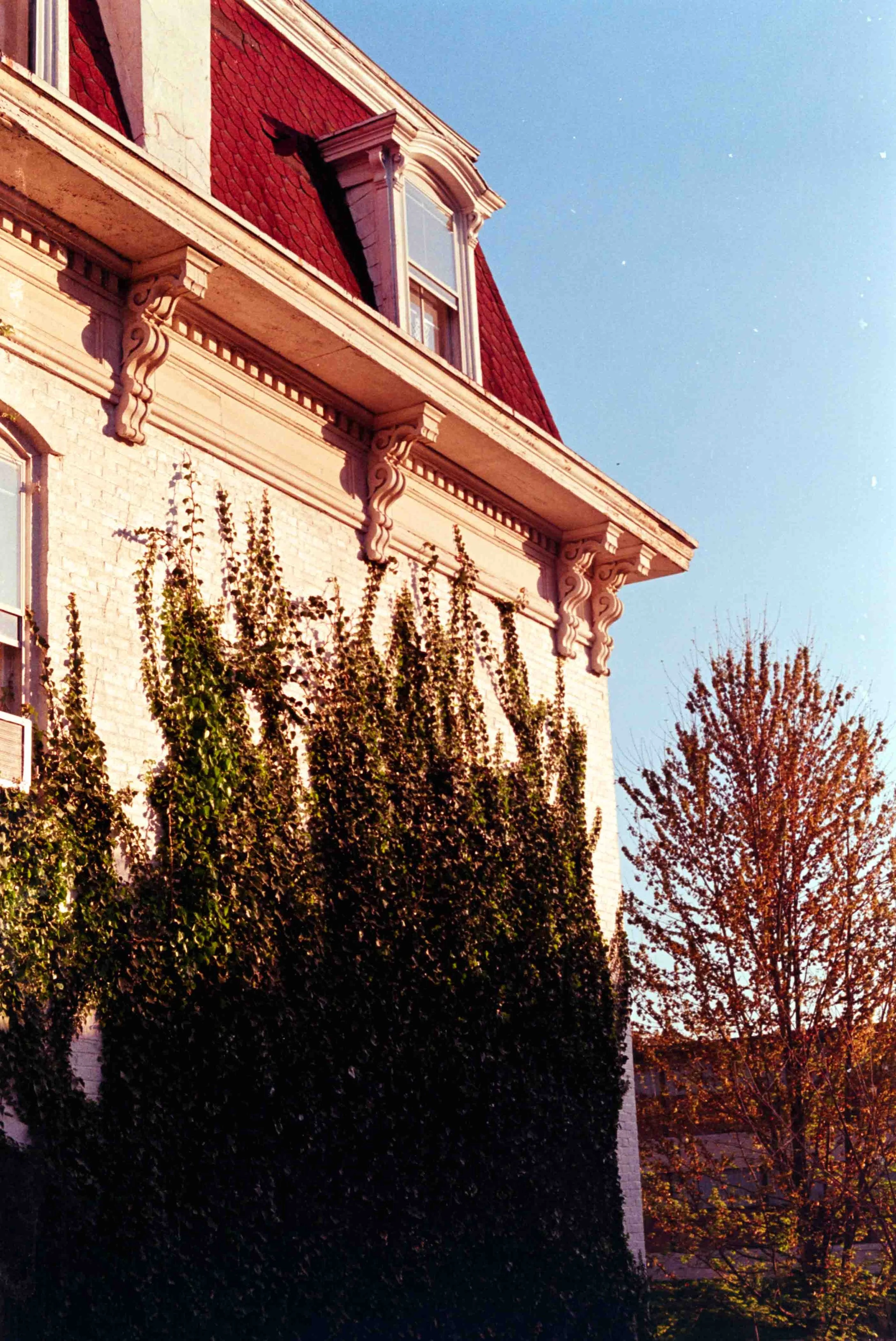 fuji_200-19.jpg