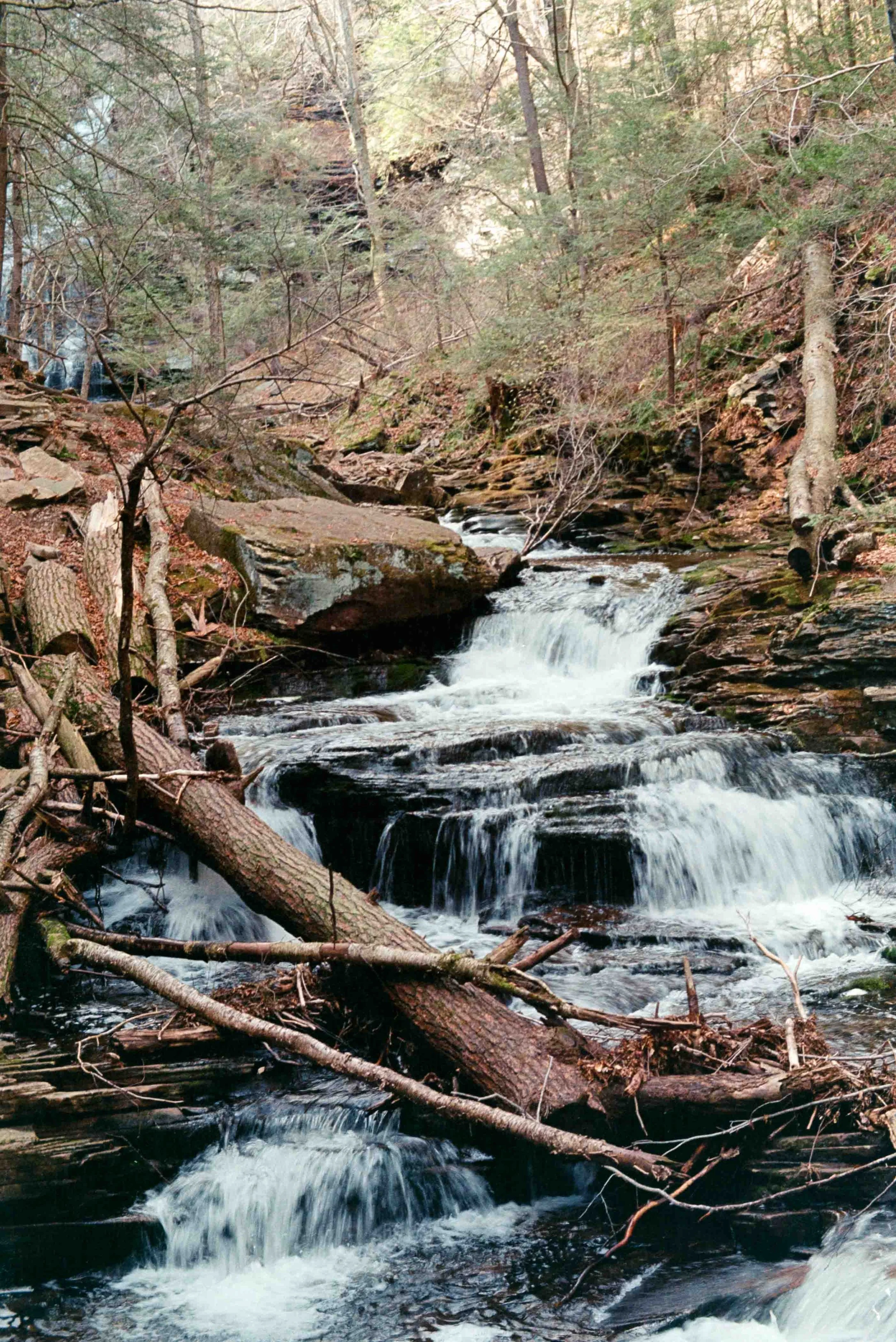fuji_200-10.jpg