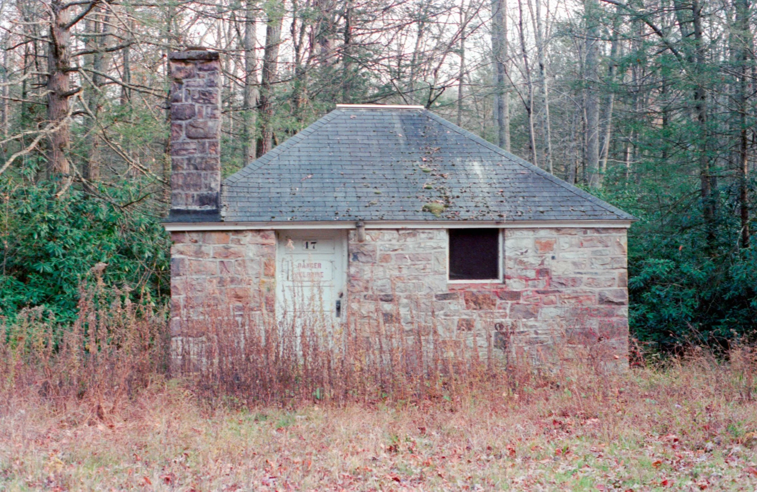 portra400_18.jpg