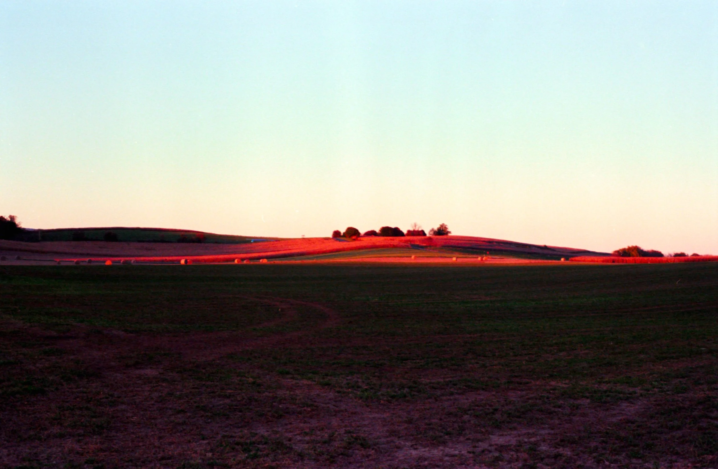 portra400_3.jpg