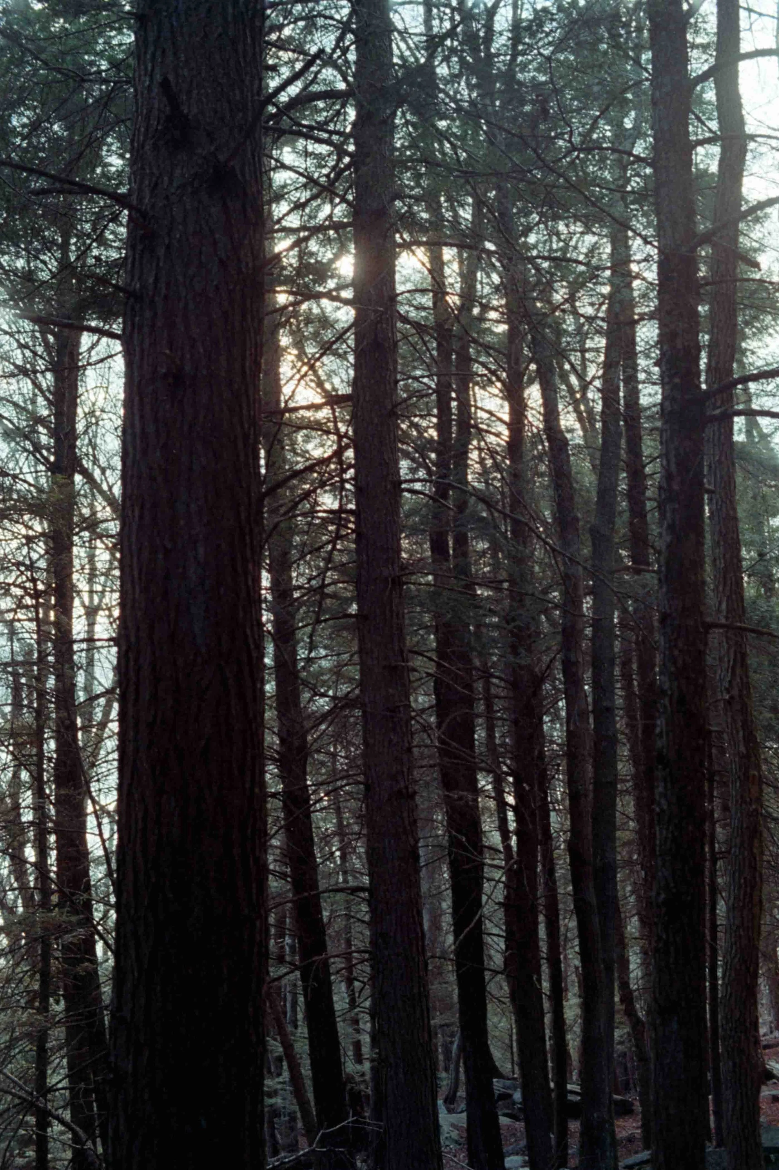 fuji_200-18.jpg