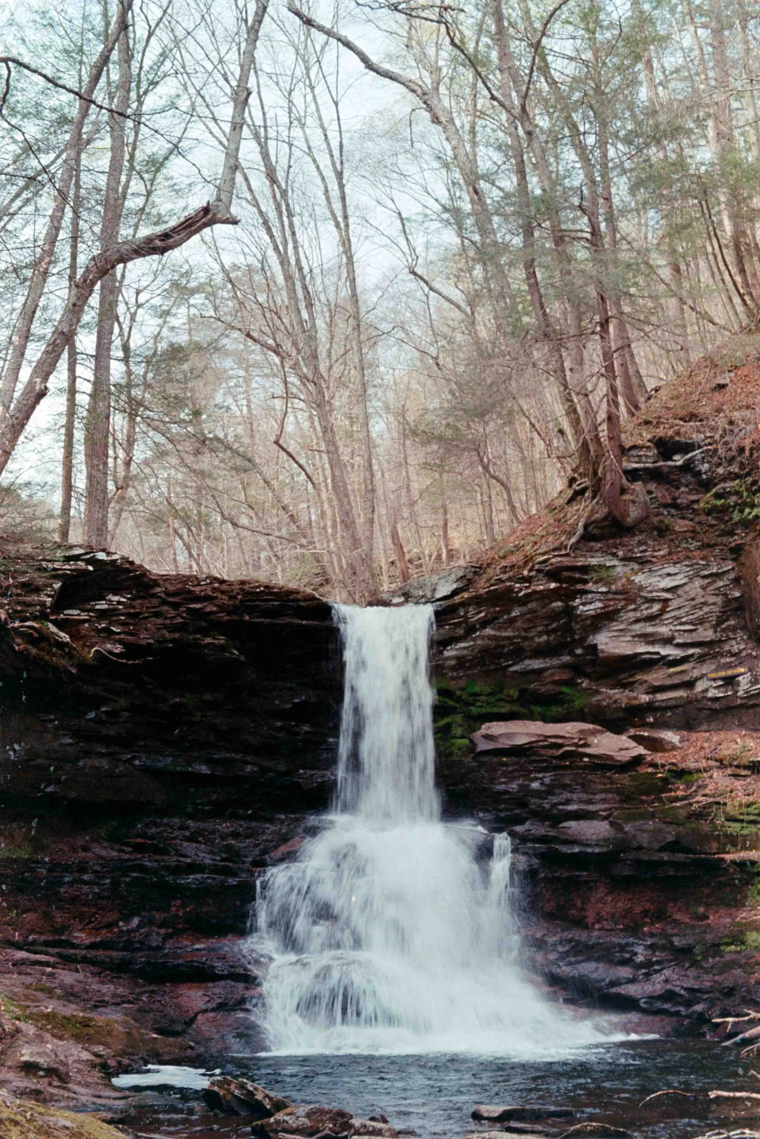 fuji_200-3.jpg
