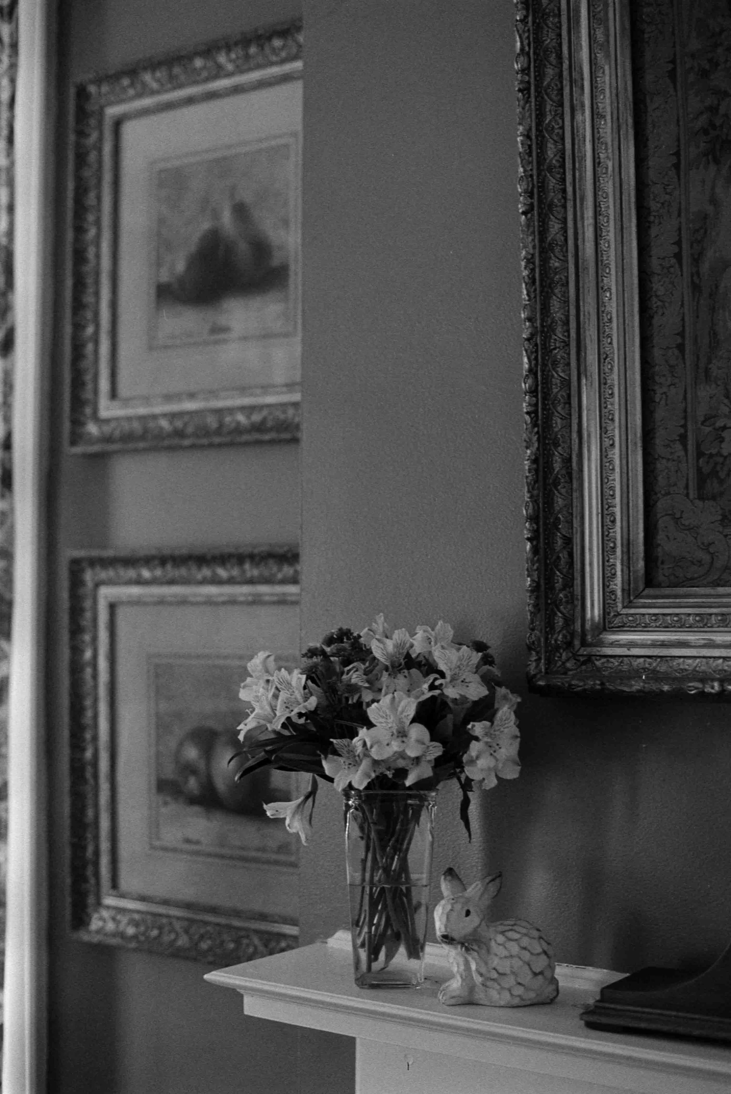 ilfordhp5-4.jpg