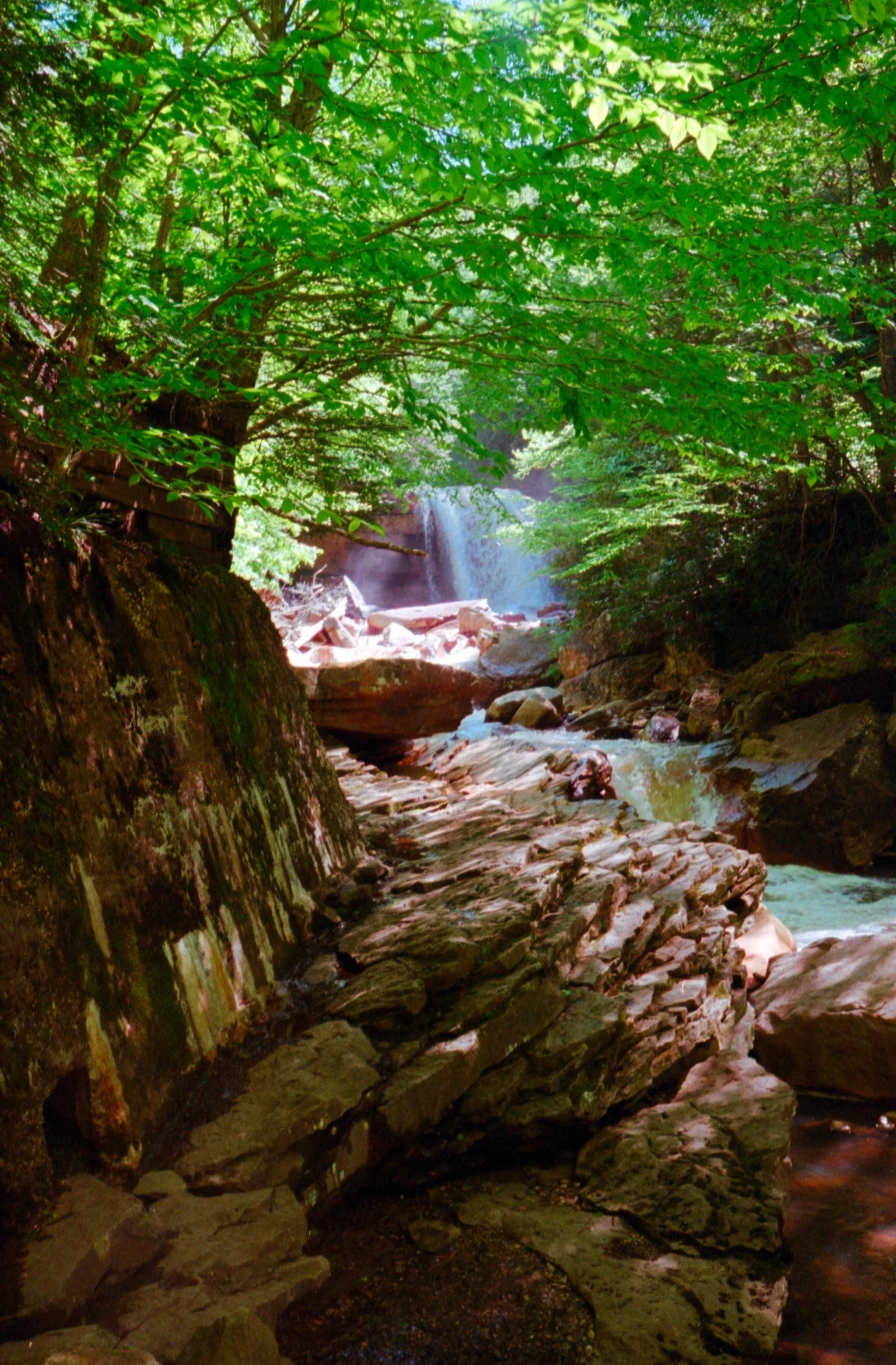fuji400_28.jpg