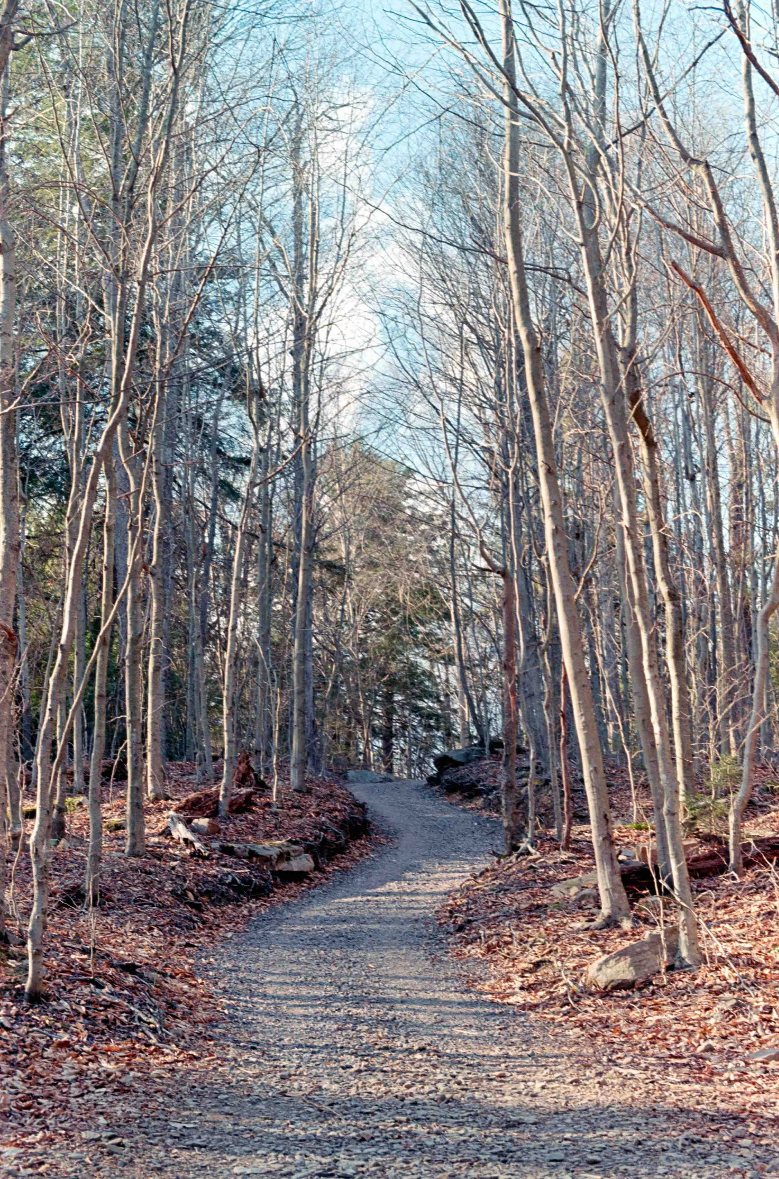 fuji_200-17.jpg