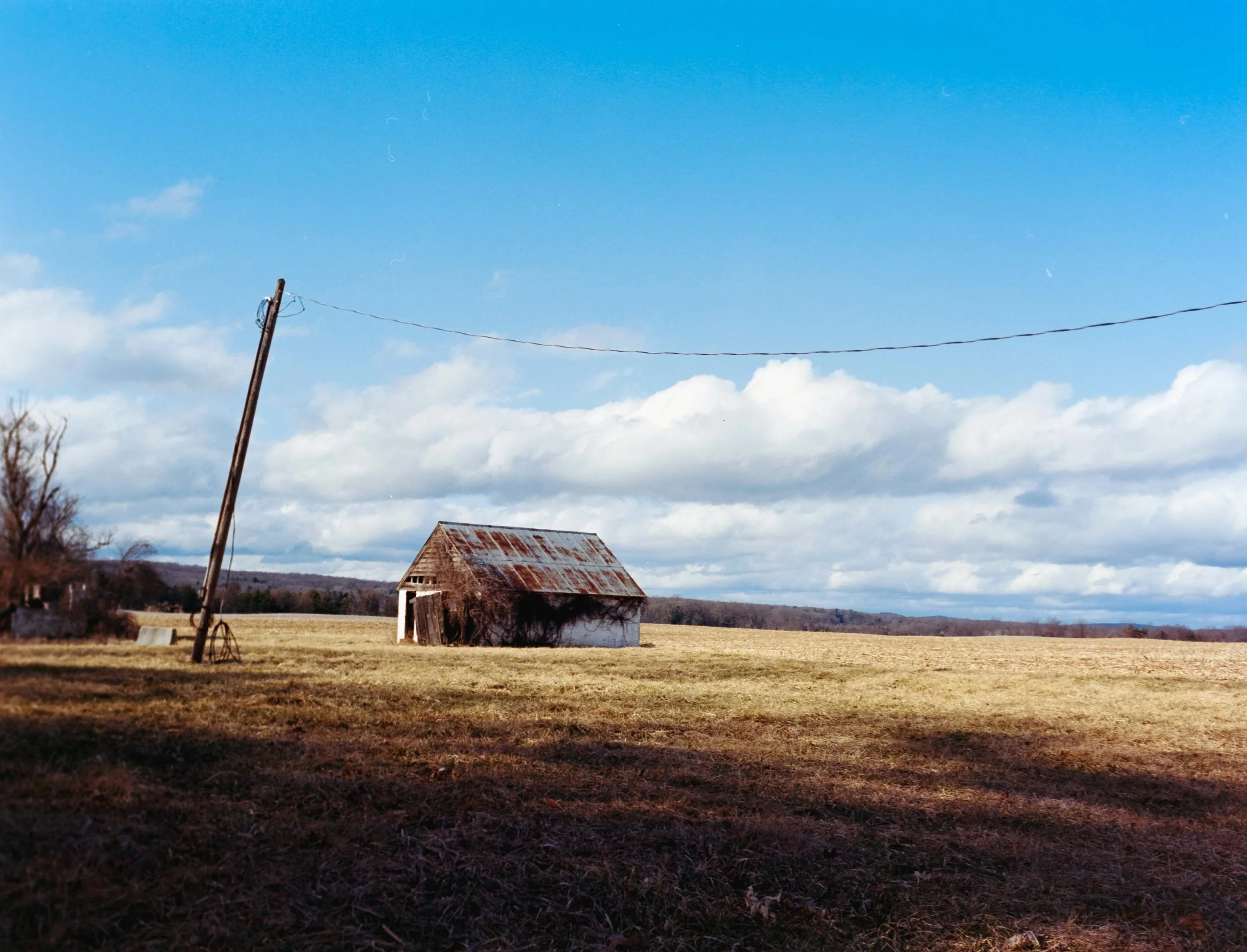 portra400_pushed2-1.jpg