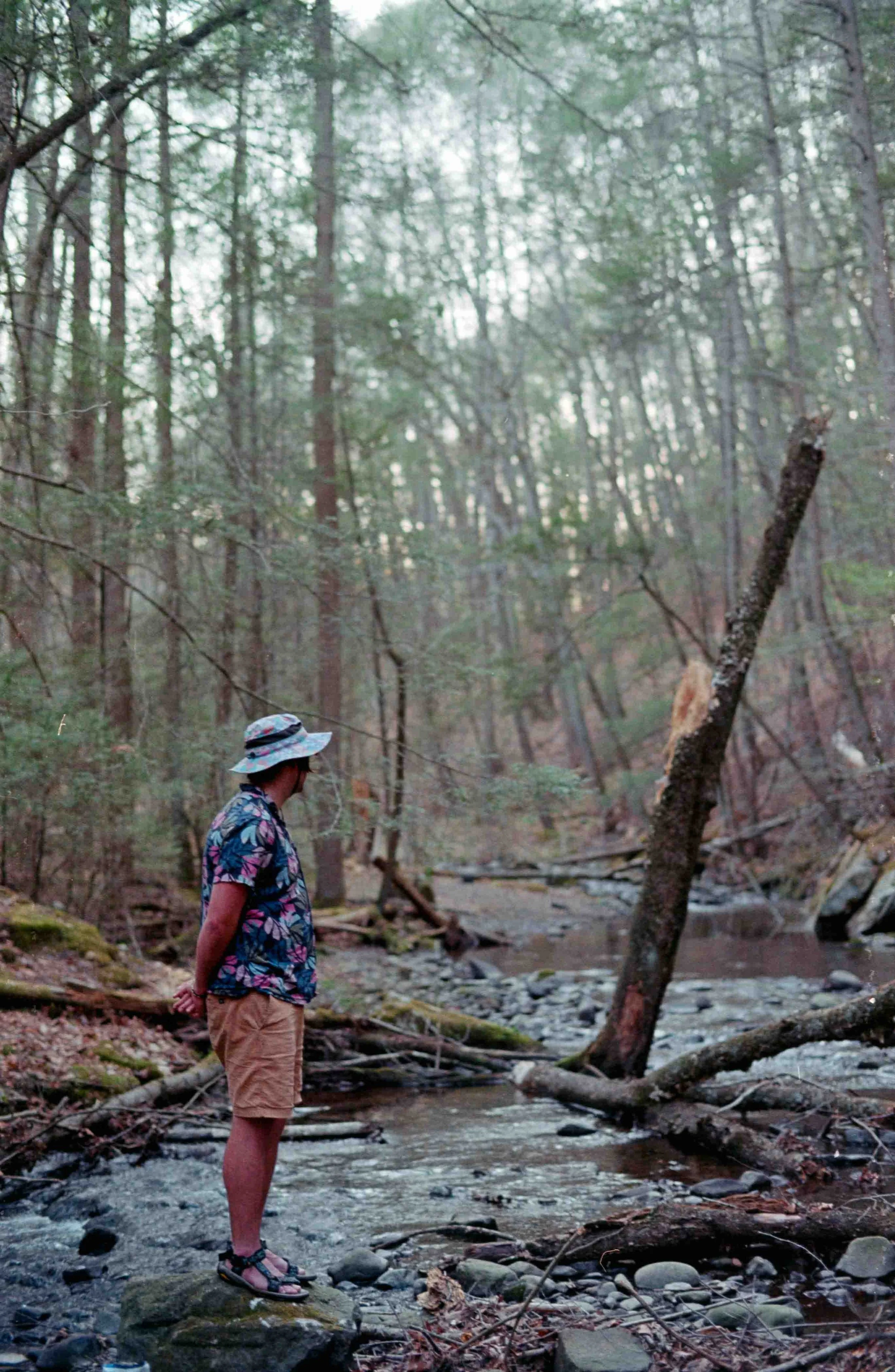 fuji_200-21.jpg
