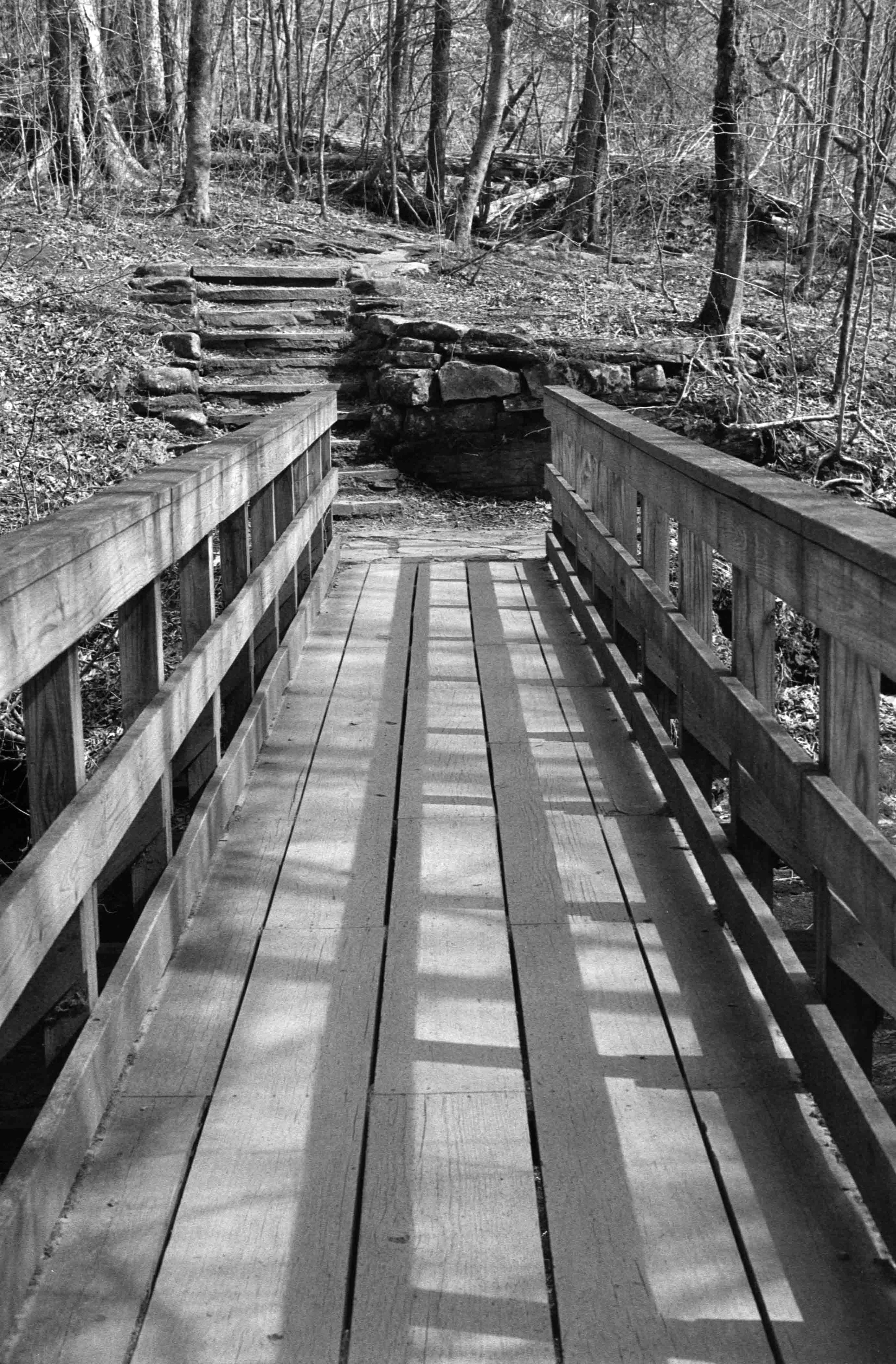 ilfordhp5-10.jpg