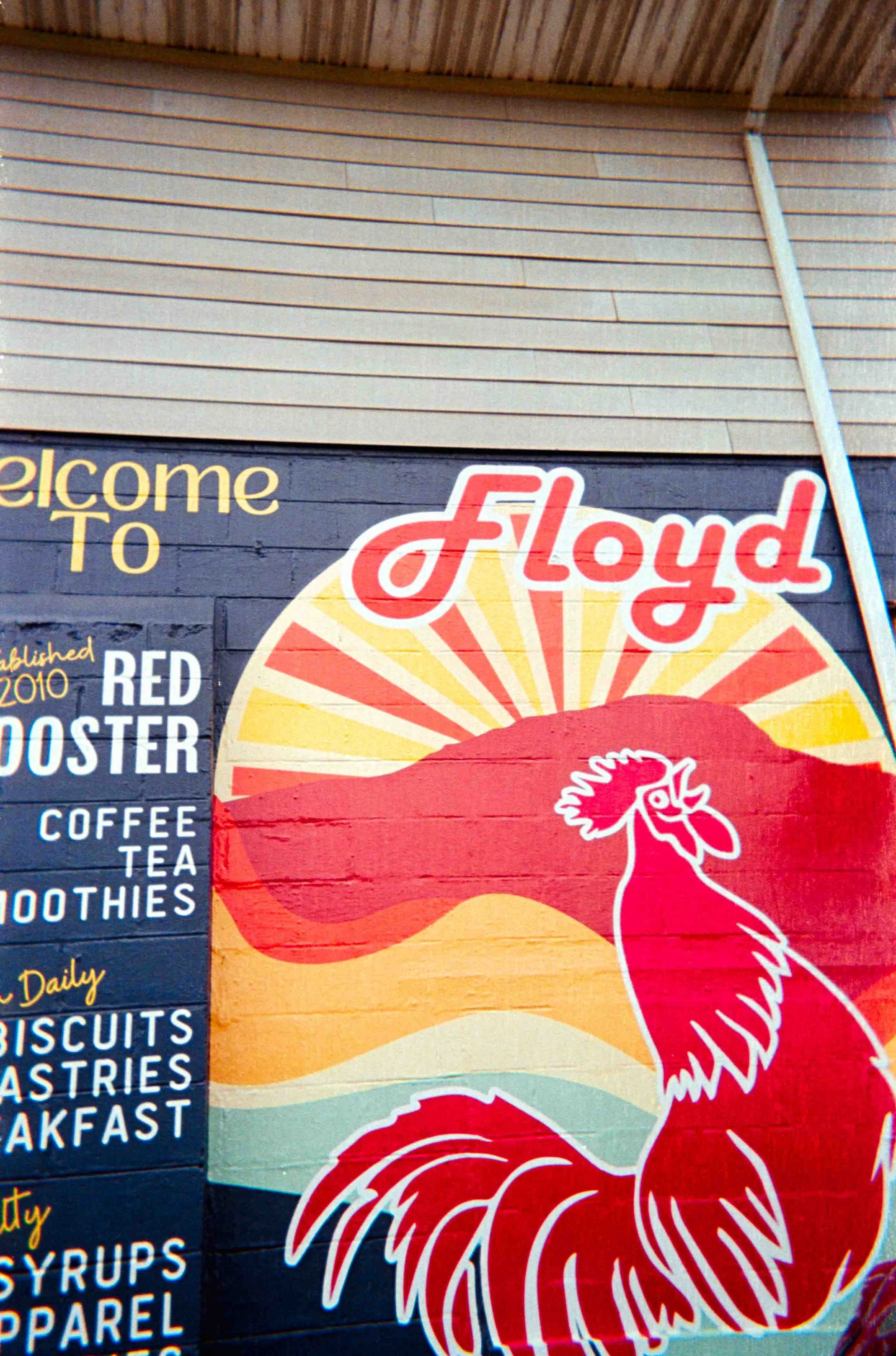 fuji_disposable-23.jpg