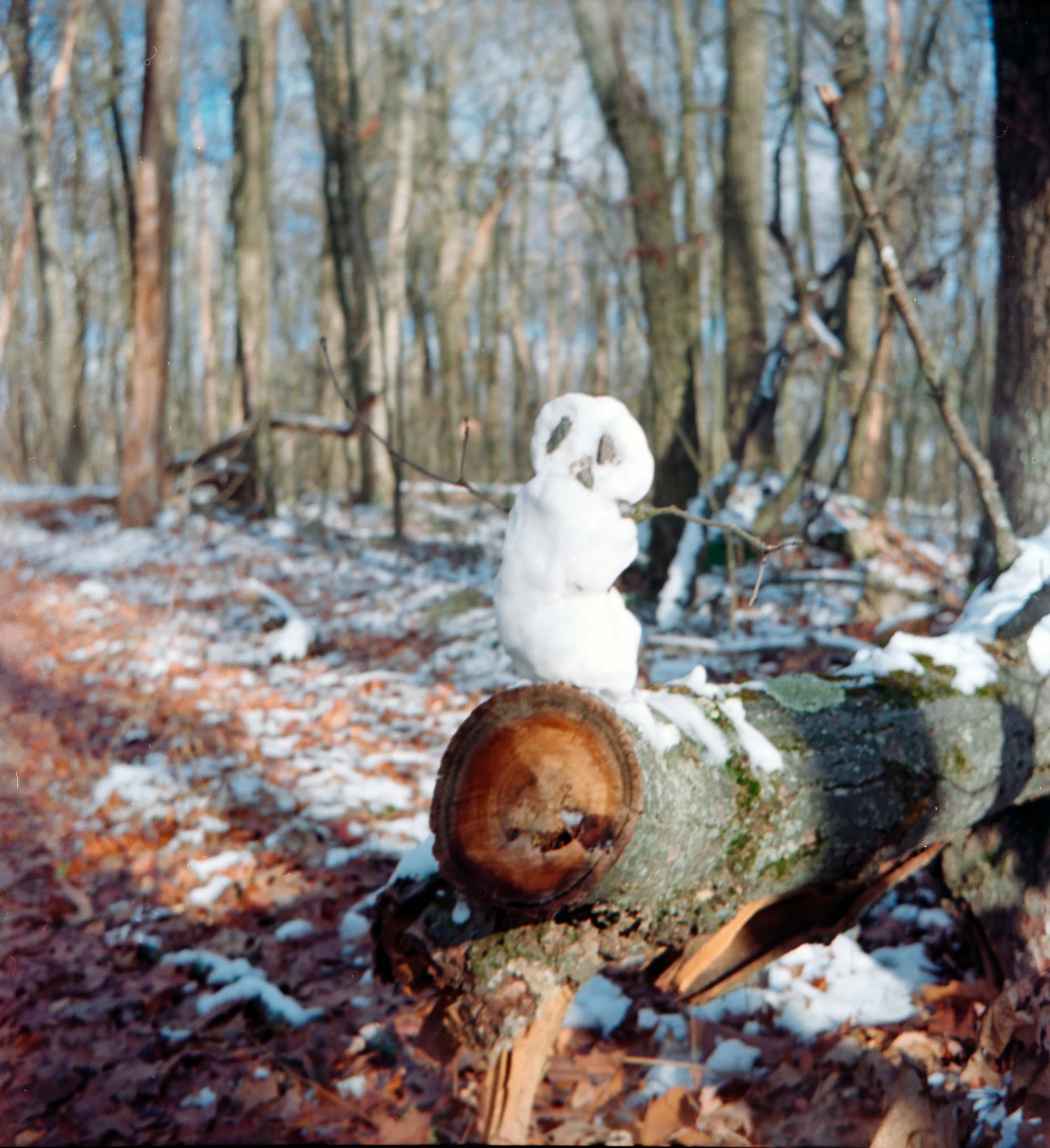 lomo400_4.jpg