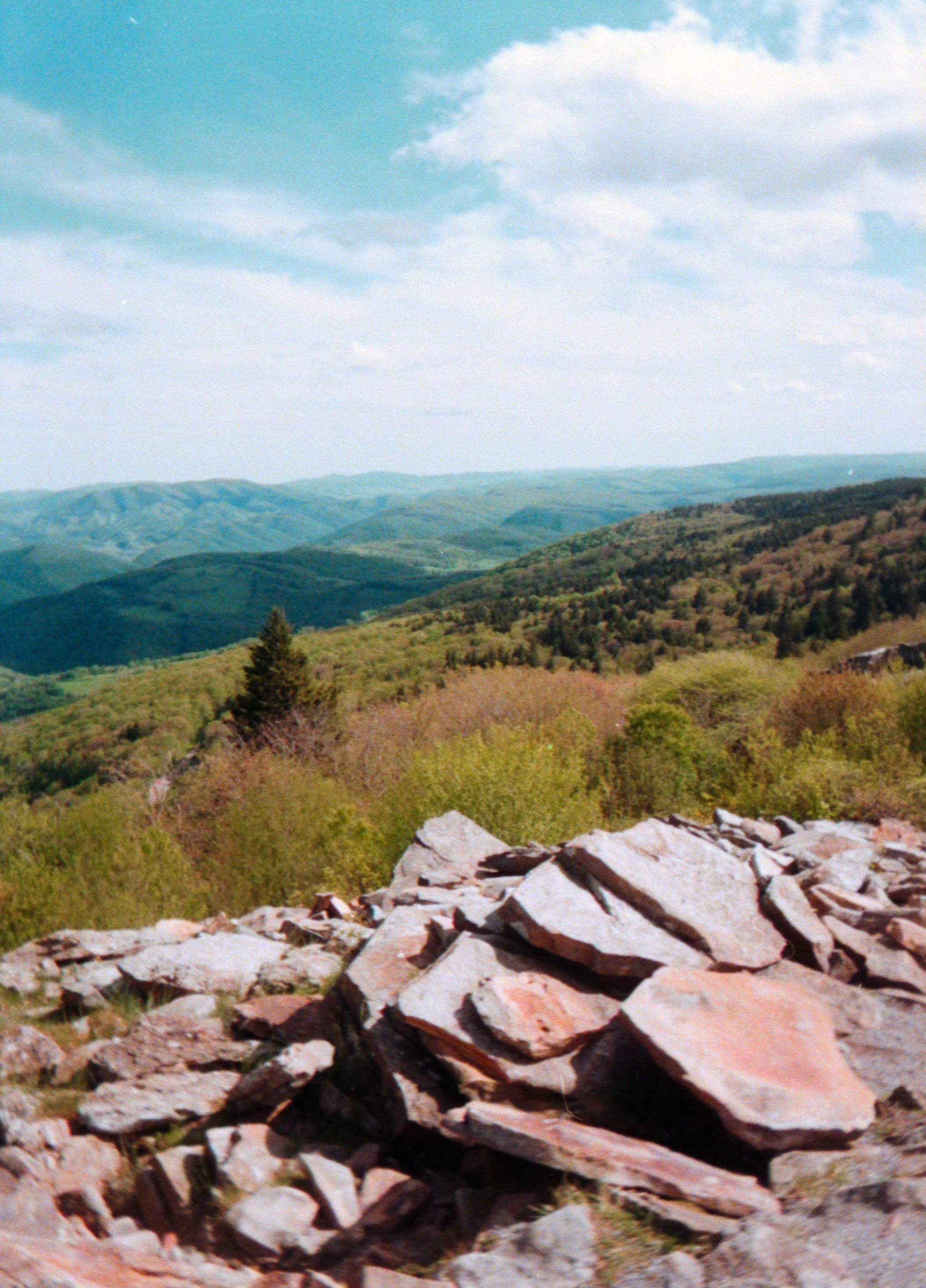 fujihalfframe_41.jpg