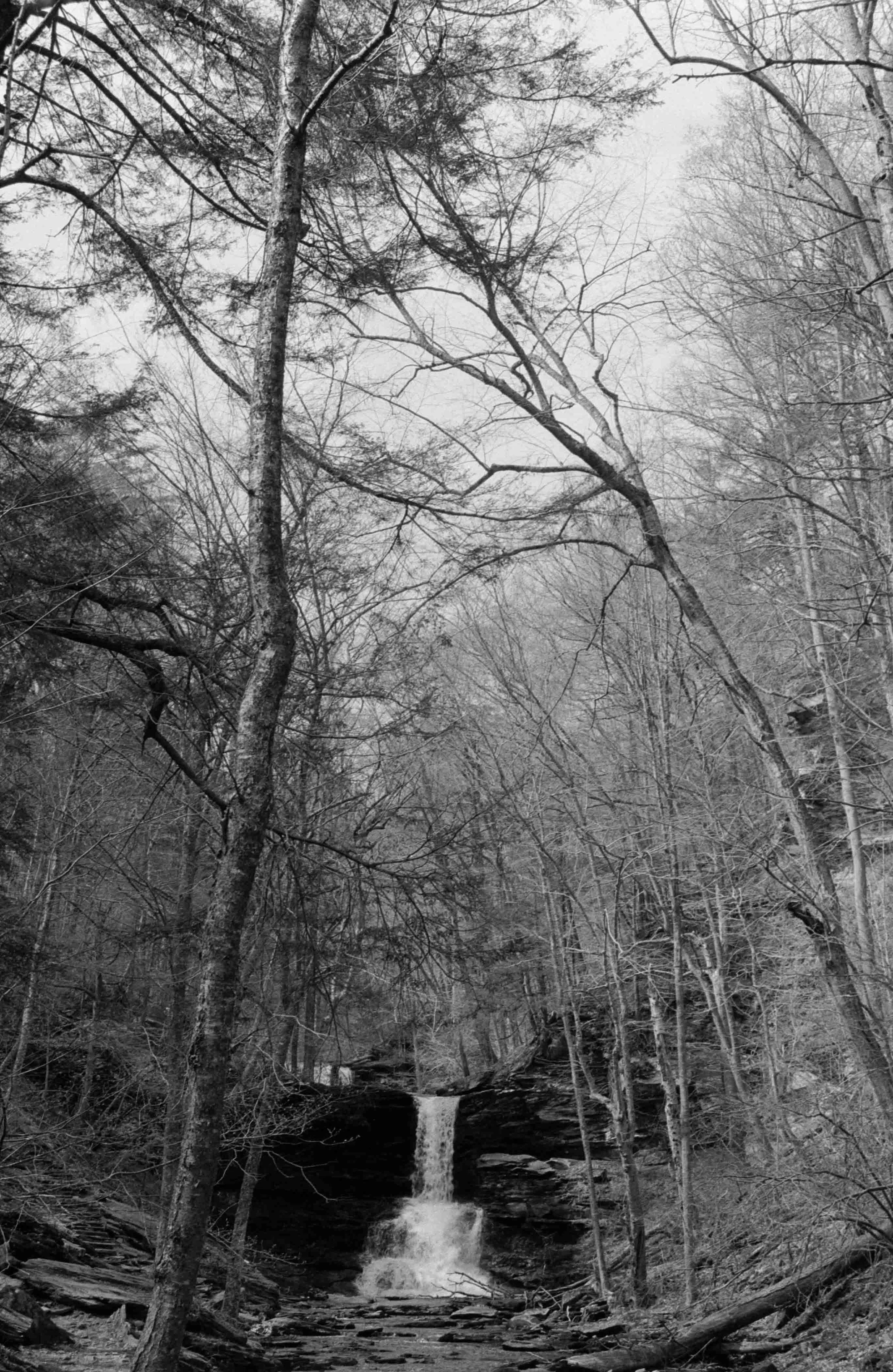 ilfordhp5-18.jpg