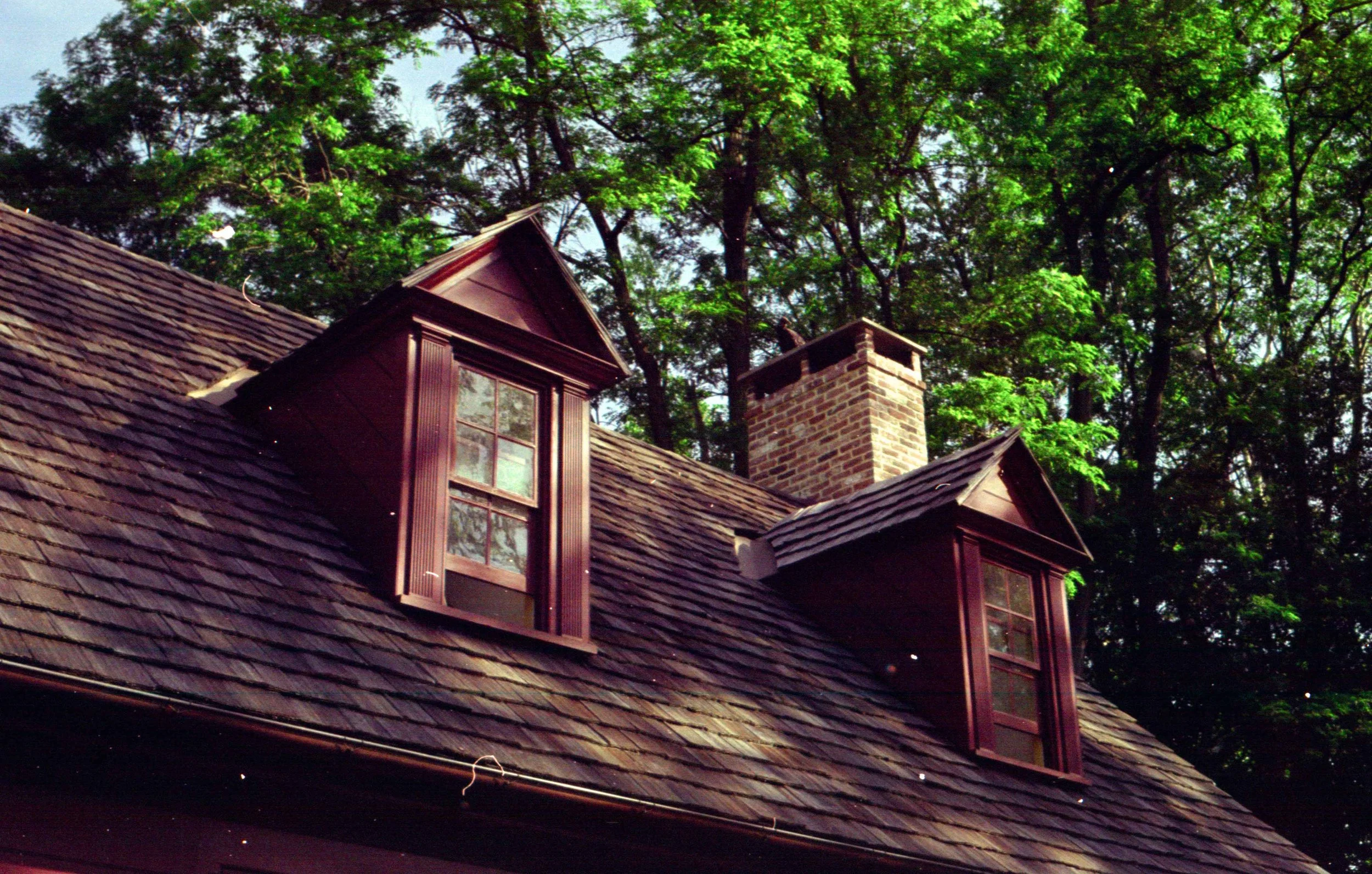 kodak gold_13.jpg