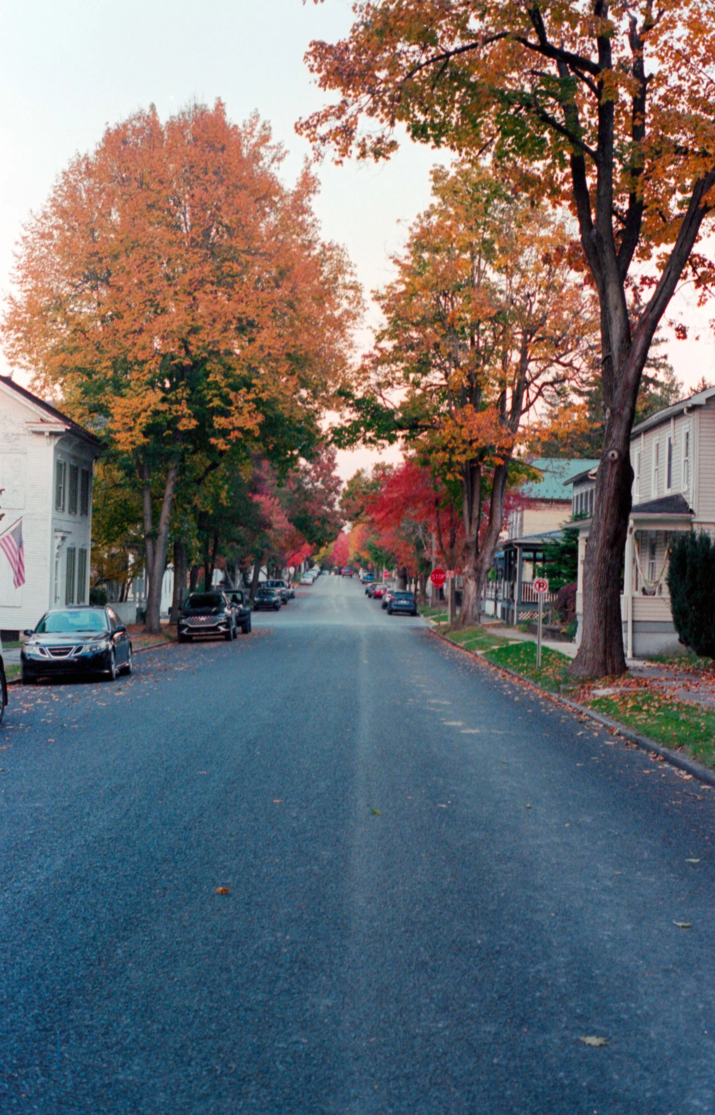 portra400_4.jpg