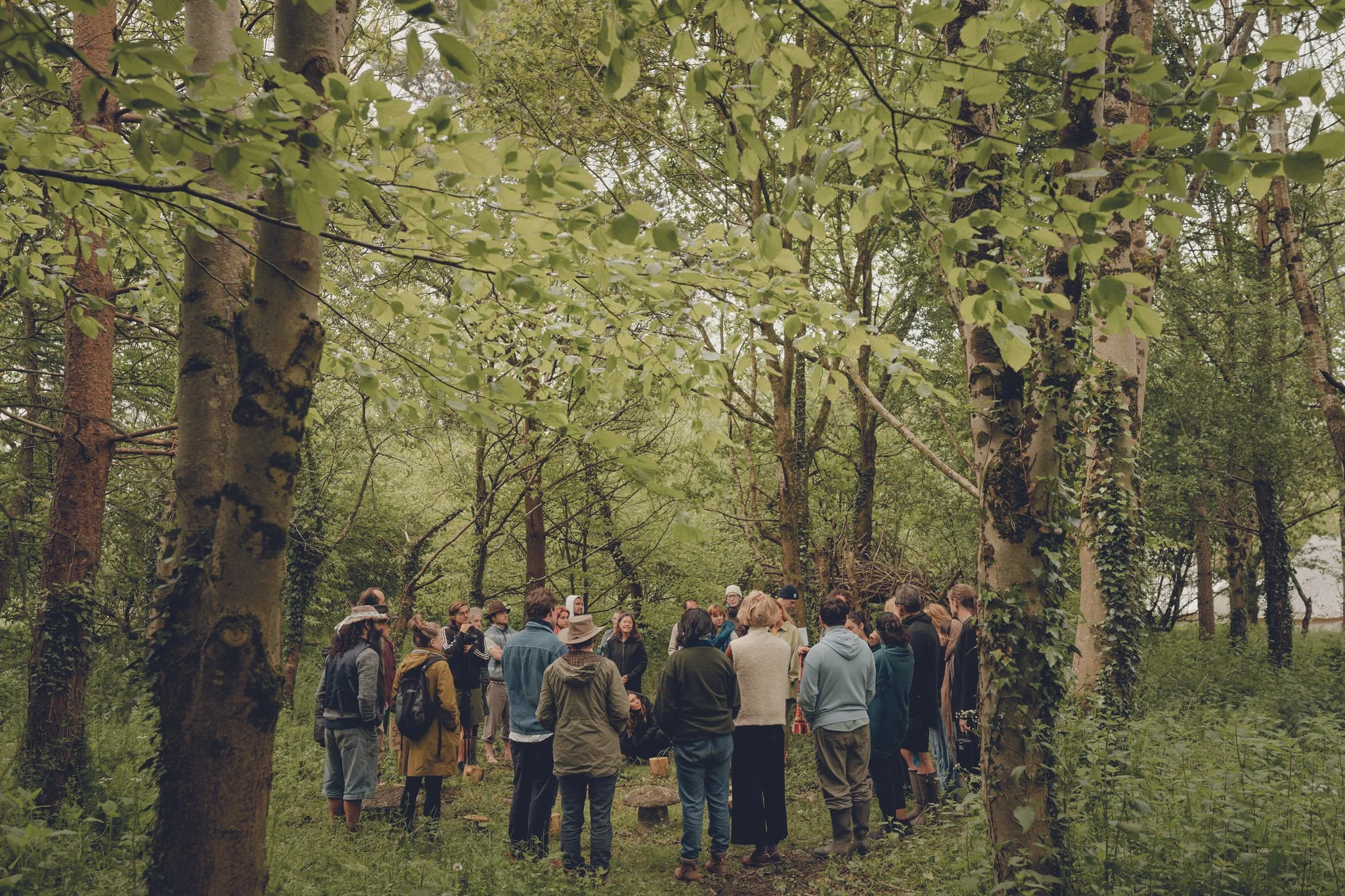 Group of people gathered in a circle outdoors in a forest with green trees and foliage.