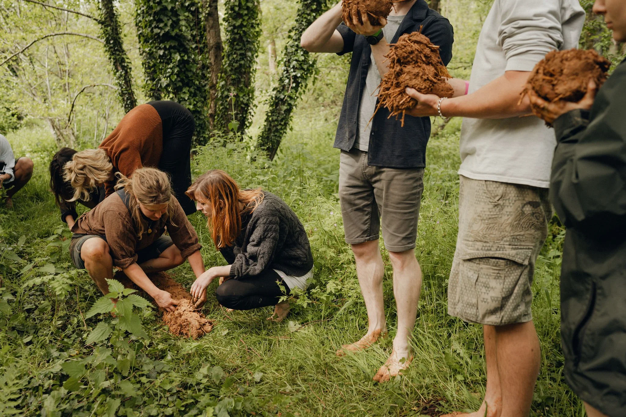 Group of people planting a sapling in a forest.