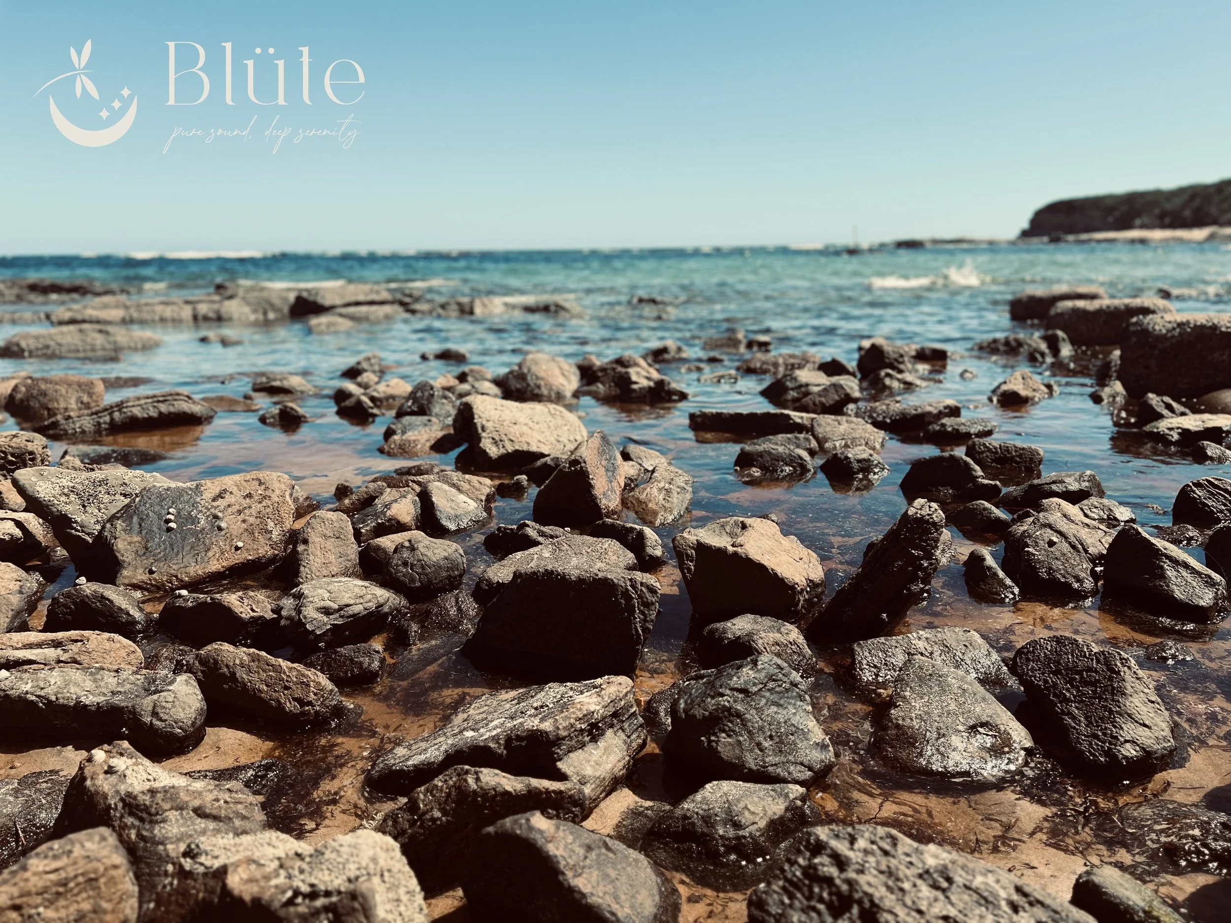 The first month of 2026 is behind us