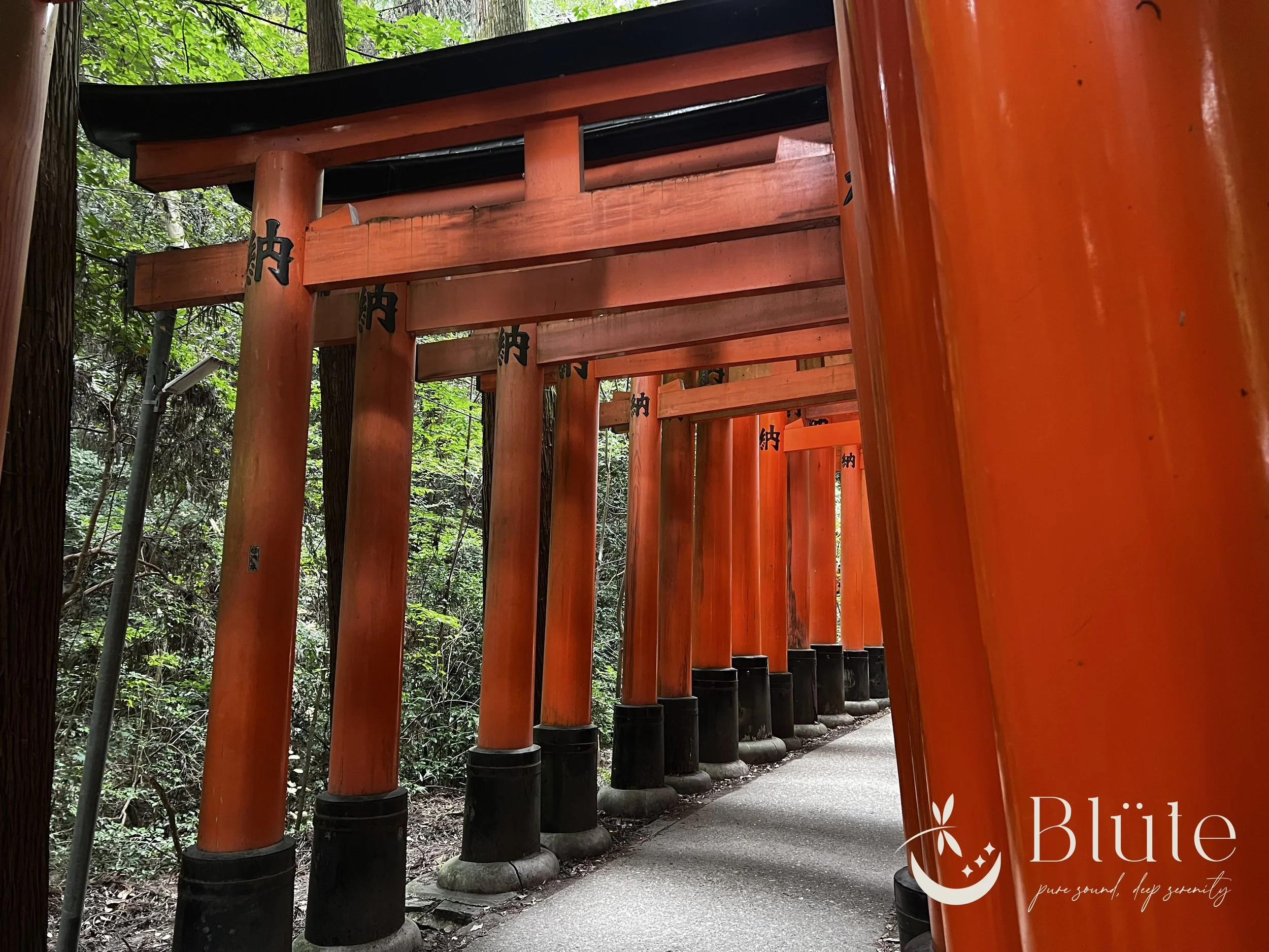 Trauma Shows Up In Many Ways…