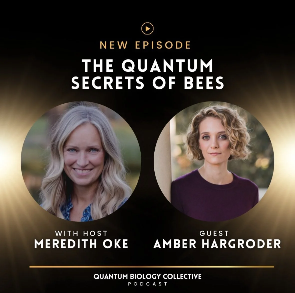 Interview — The Quantum Secrets of Bees