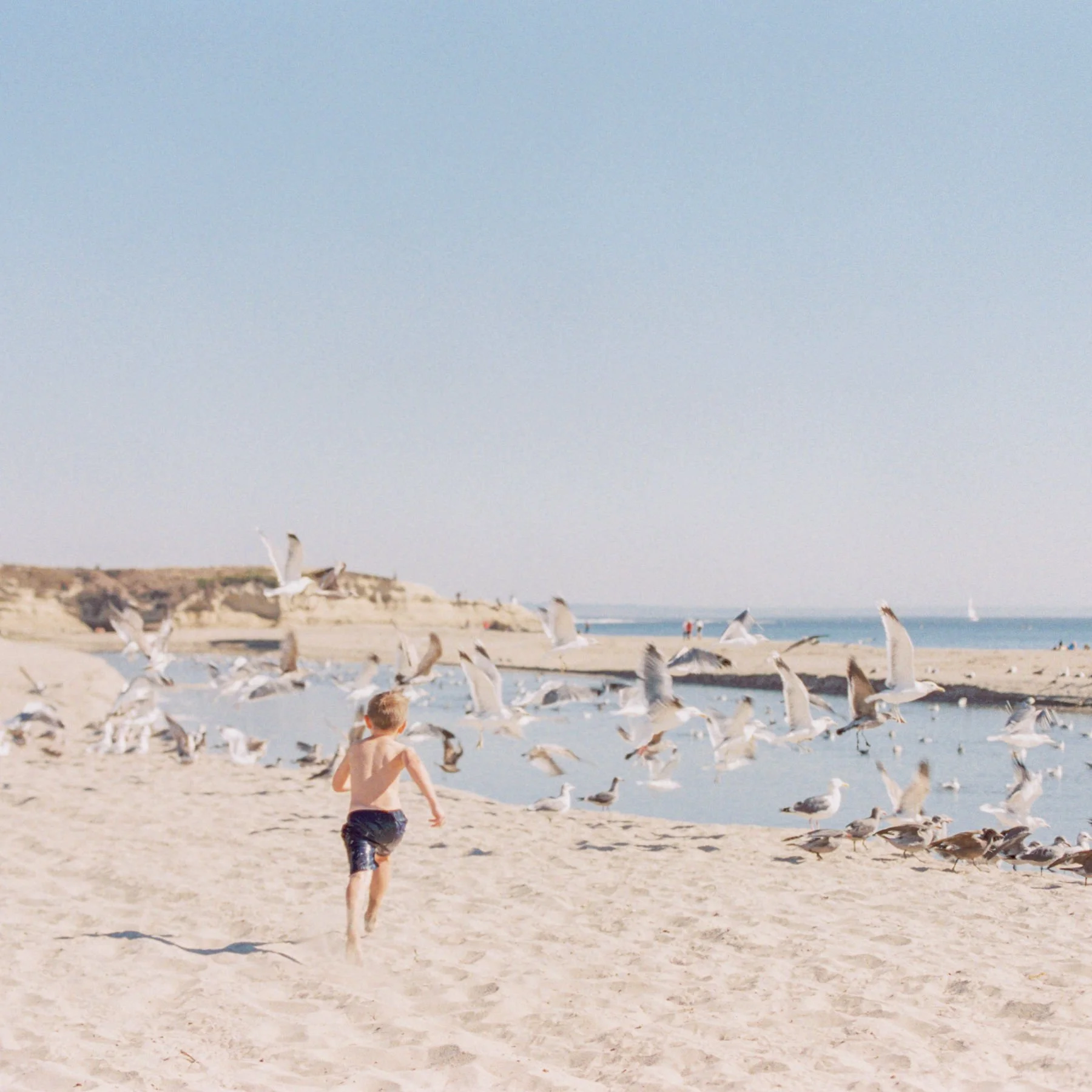 A young boy running along a sandy beach near a body of water with seagulls flying overhead and seagulls standing on the sand, with cliffs and the ocean in the background.