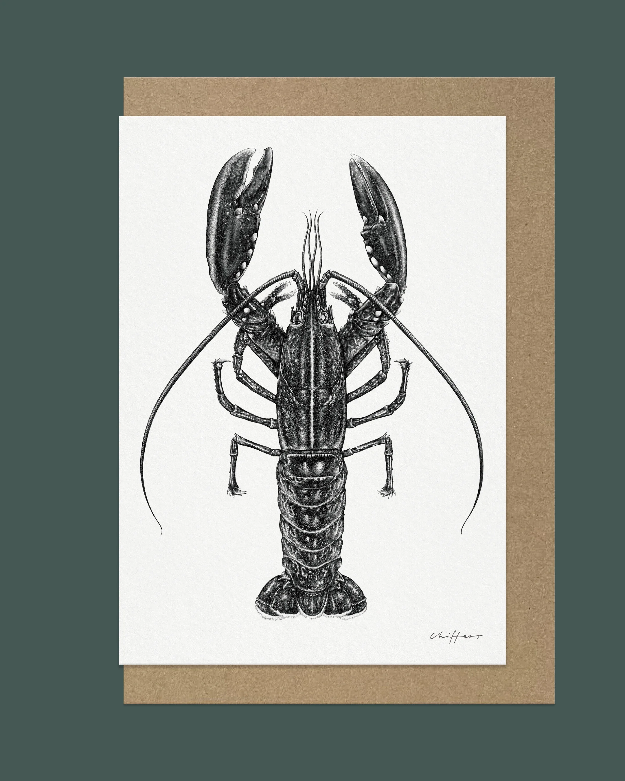 A5 Card Newlyn Lobster - Front.webp