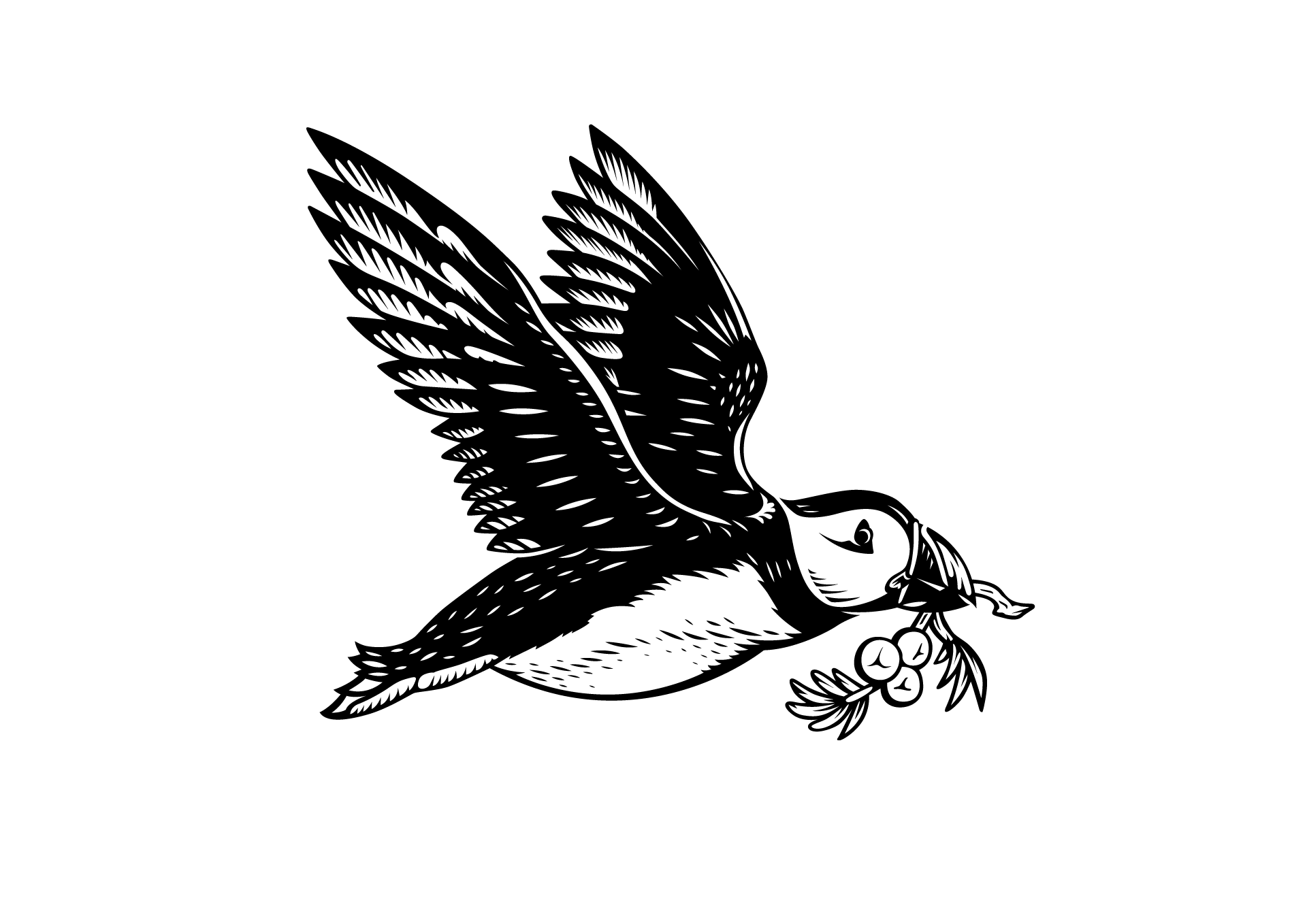 Chiffers Logo Design Tarquin's Gin.webp
