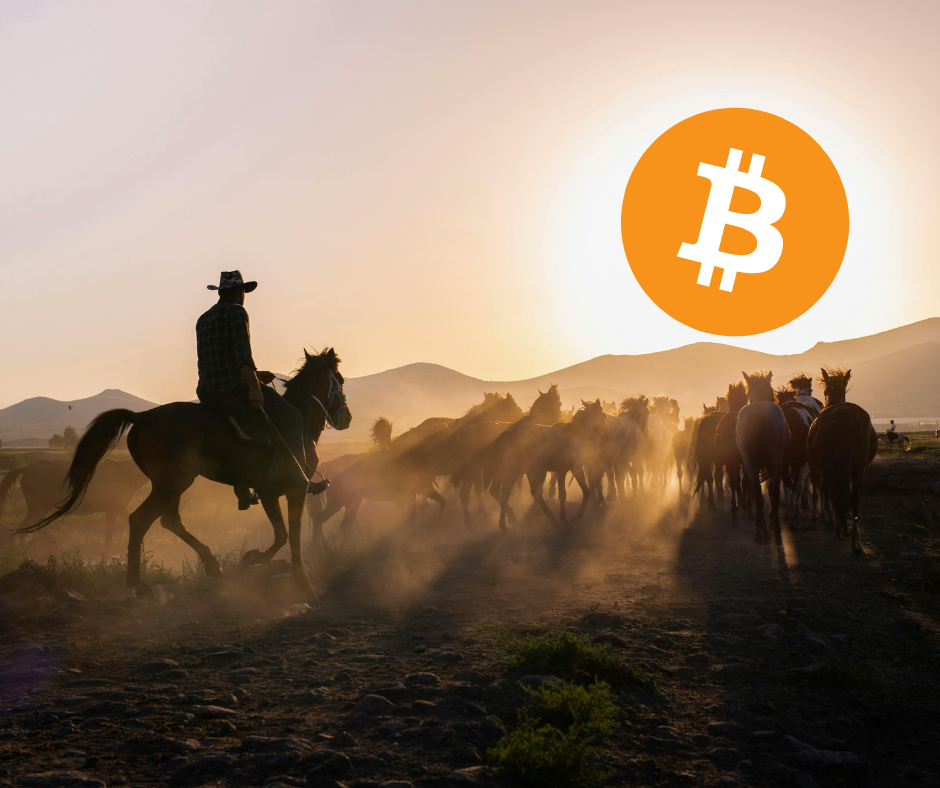 Silhouette of a cowboy riding a horse at sunset, herding a group of horses across a dusty landscape with mountains in the background, with a large Bitcoin logo in the sky.