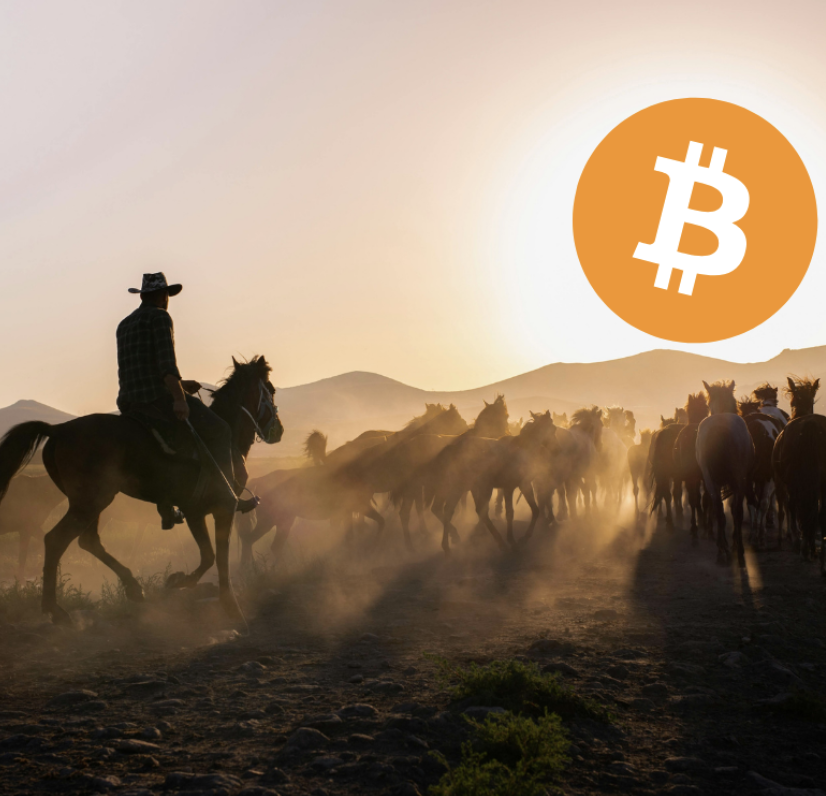 Screenshot 2026-02-24 at 14.57.22.png