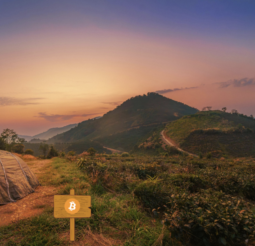 Screenshot 2026-02-24 at 14.57.15.png