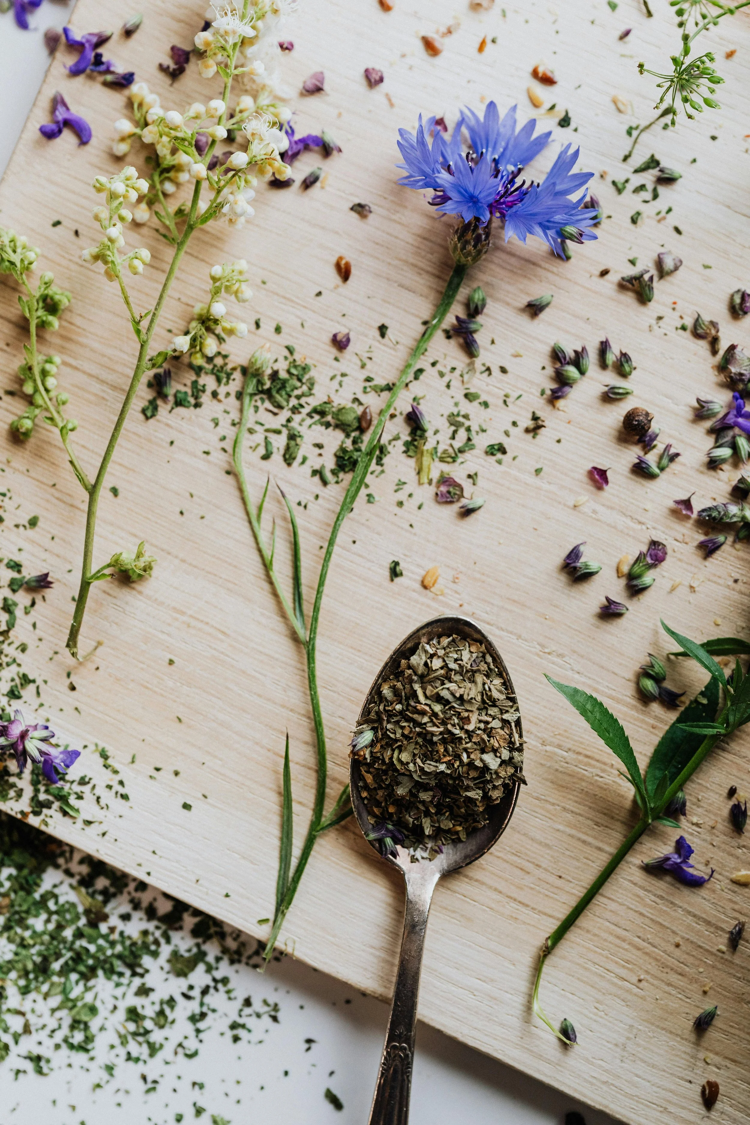 Bloom & Become: A Firelight Circle Retreat 