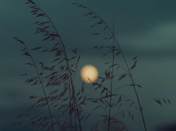 FULL CORN MOON IN ARIES - SALT, SOUND &amp; REIKI ACTIVATION