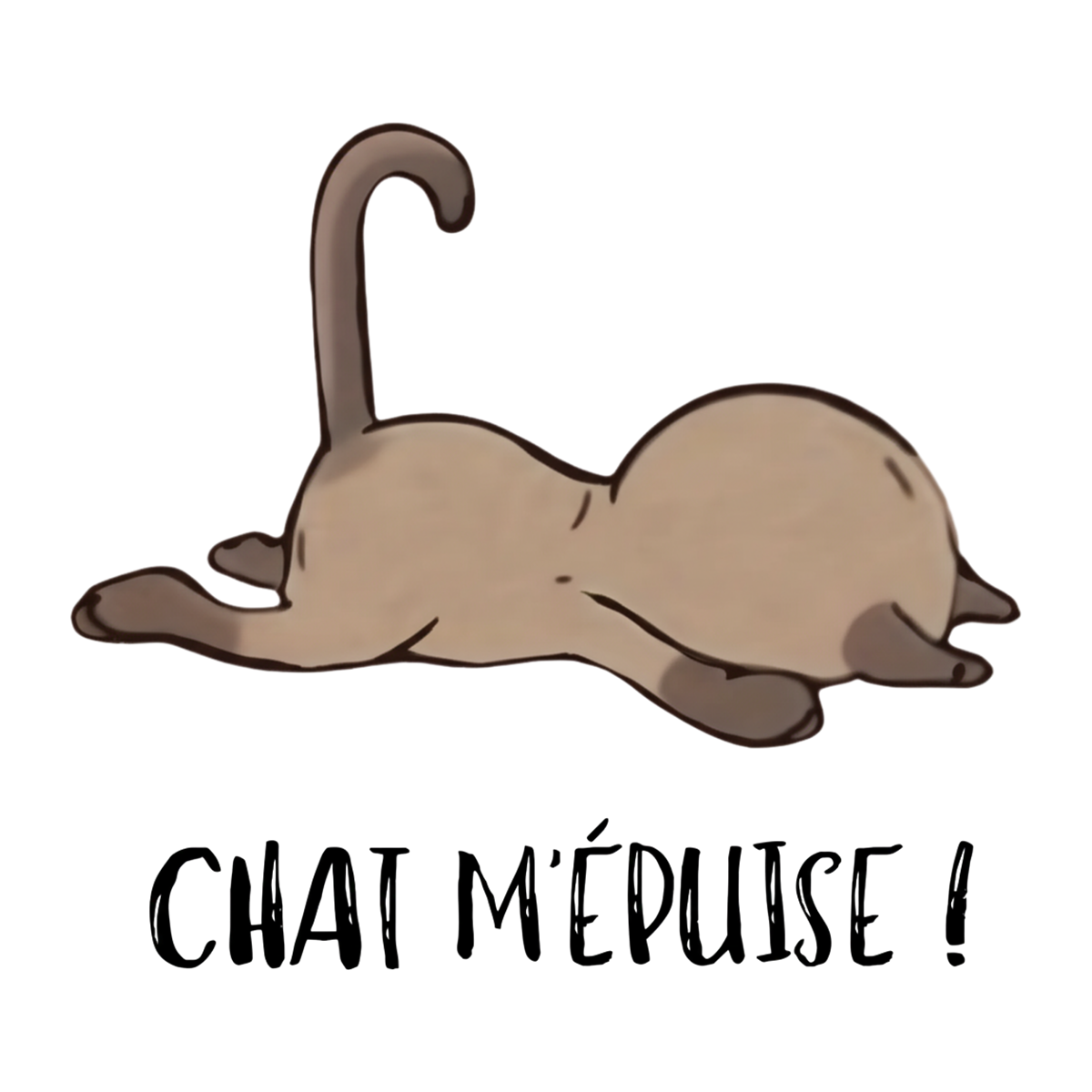 meg - Artboard 2.png