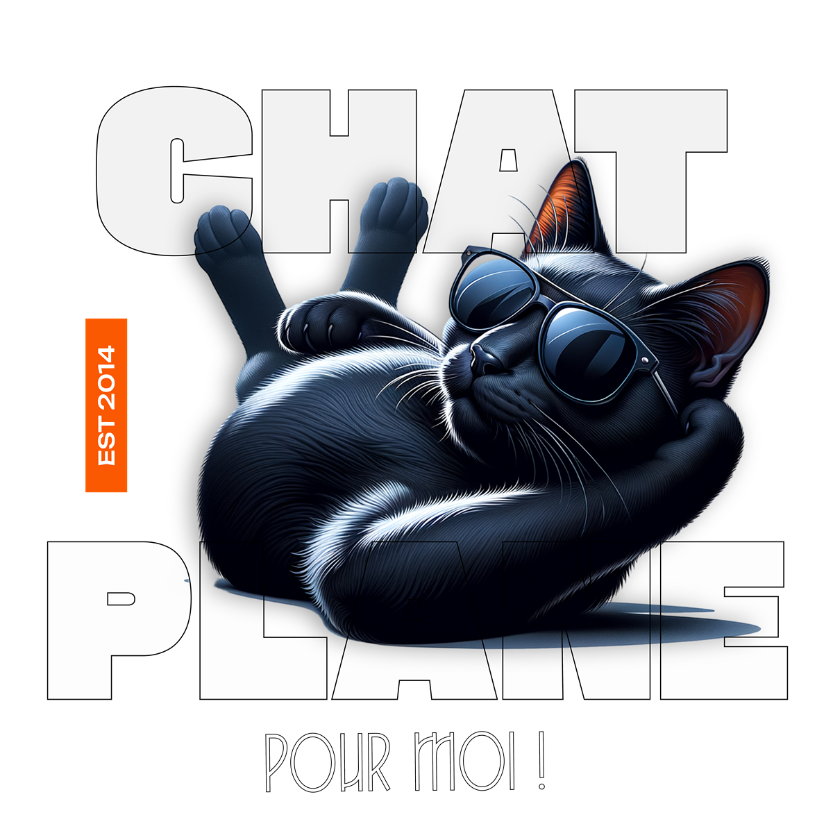 chat plane - Cool Pose.png