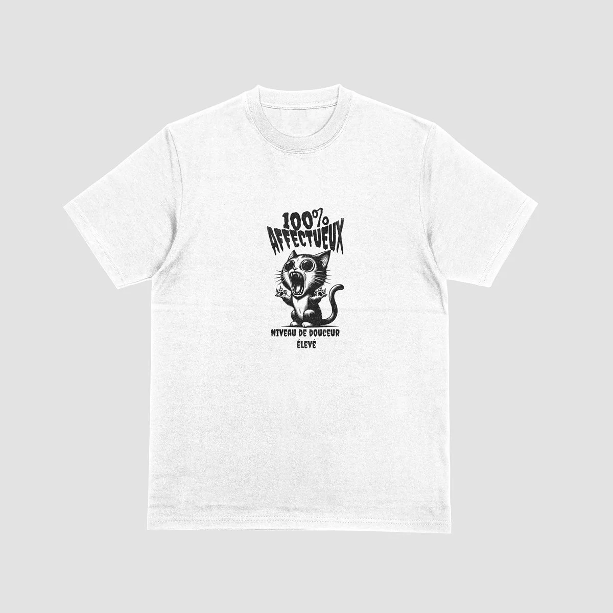 100% AFFECTUEUX - Mockup.jpg