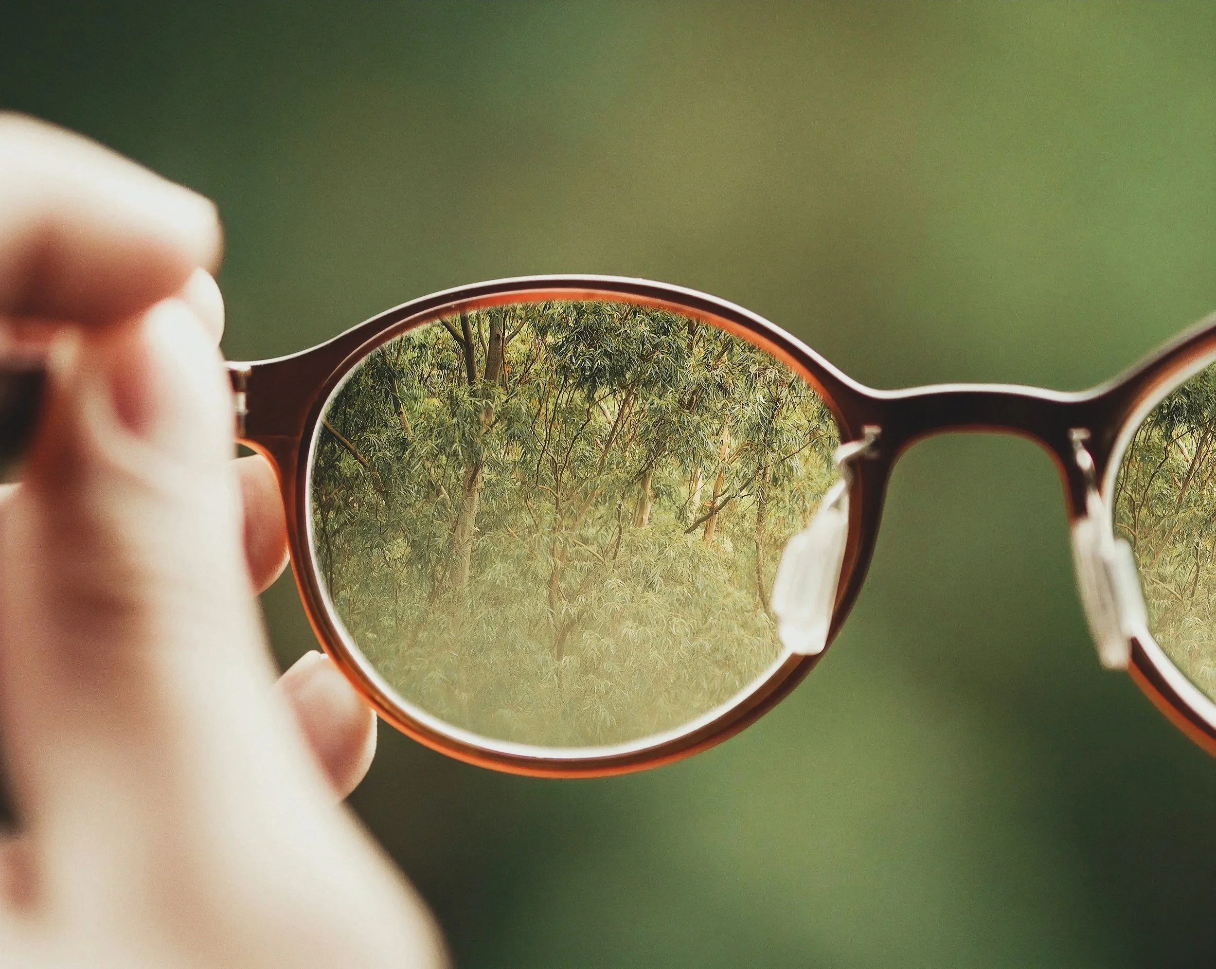A person holding a pair of glasses with a reflection of green trees in the lenses.