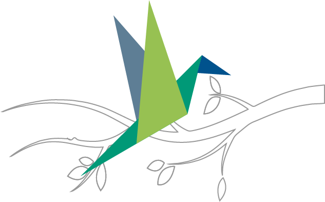 Enhancements to bird &amp; nest