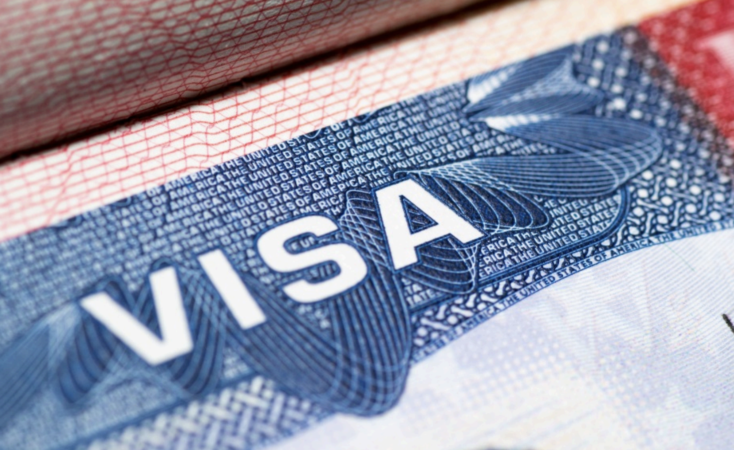 Merit to Money: How Executive Power Has Reshaped Immigration Visas