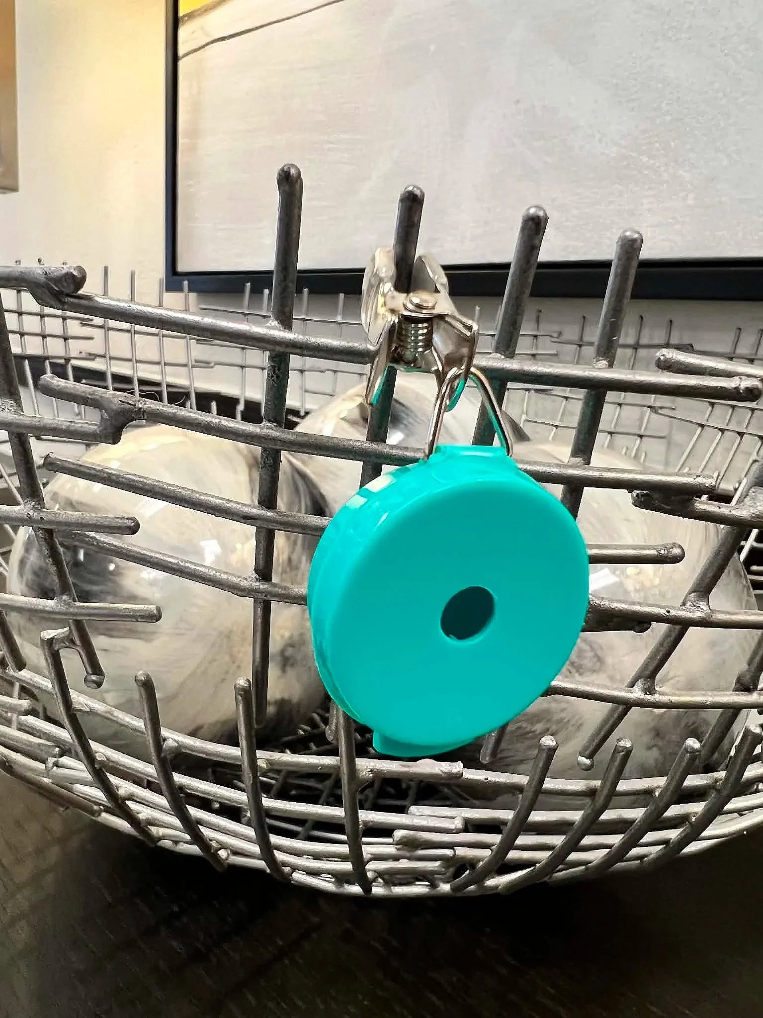 Teal Whiff Disc™ Hanging Hide attached to a branch for scent work training